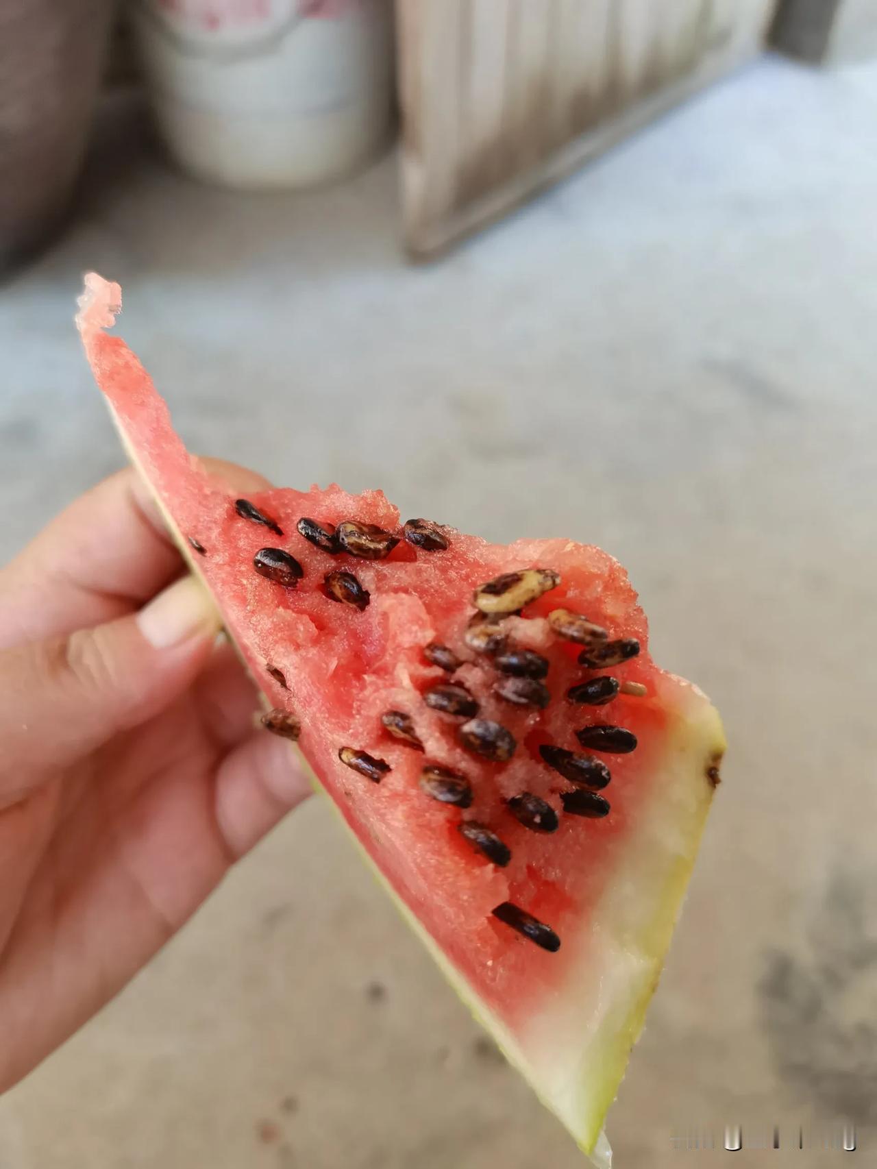 别人的吃的西瓜是在报恩，我吃的这个西瓜感觉像是在报仇，这么小一块西瓜，结果西瓜籽