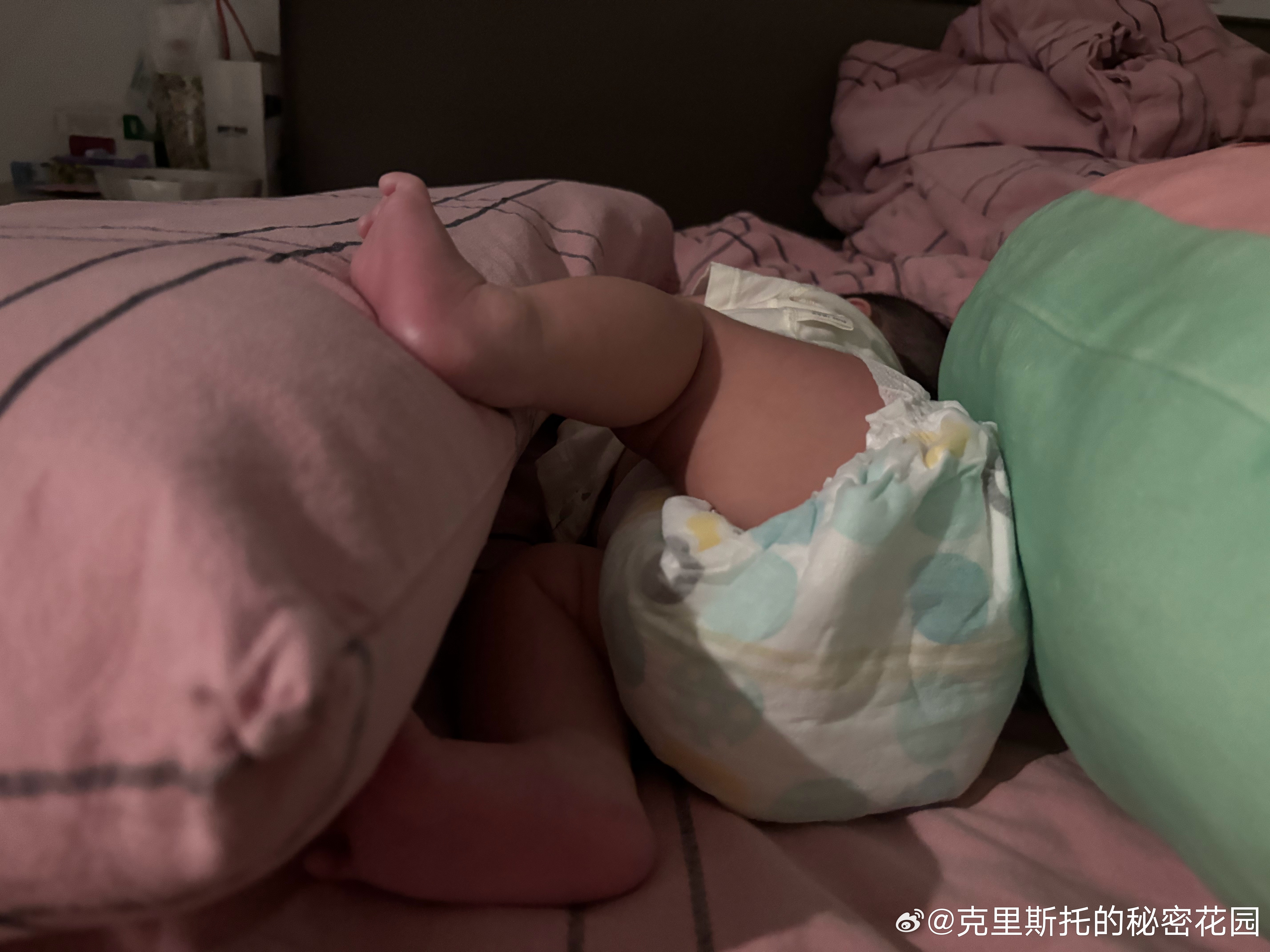 南瓜现在越来越肥了，再加上剃了头，已经没有小婴儿时候奶奶的样子了 