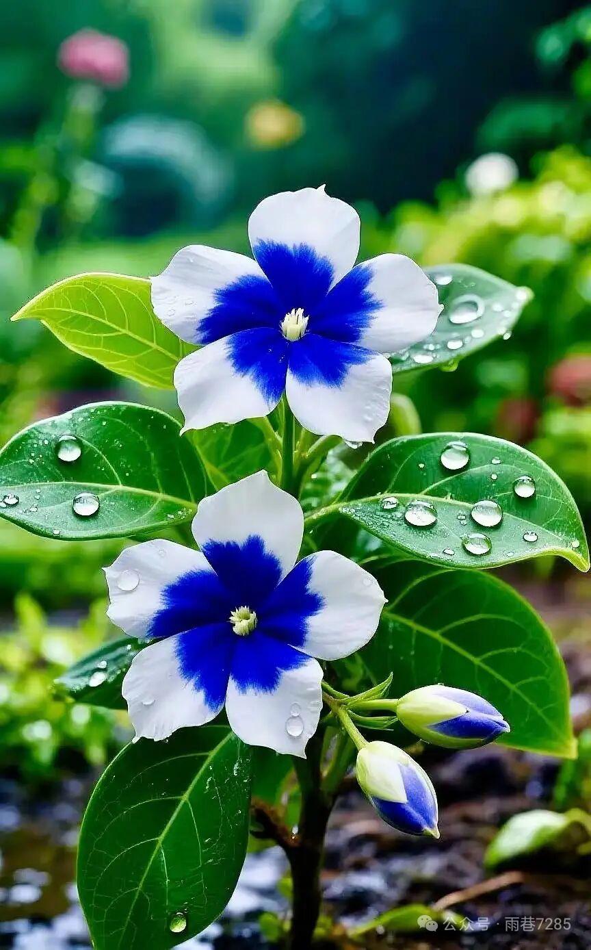 善良到底有没有“福报”?有的，善良不是刻意的付出，是心底的柔软攒下的温柔福报，会