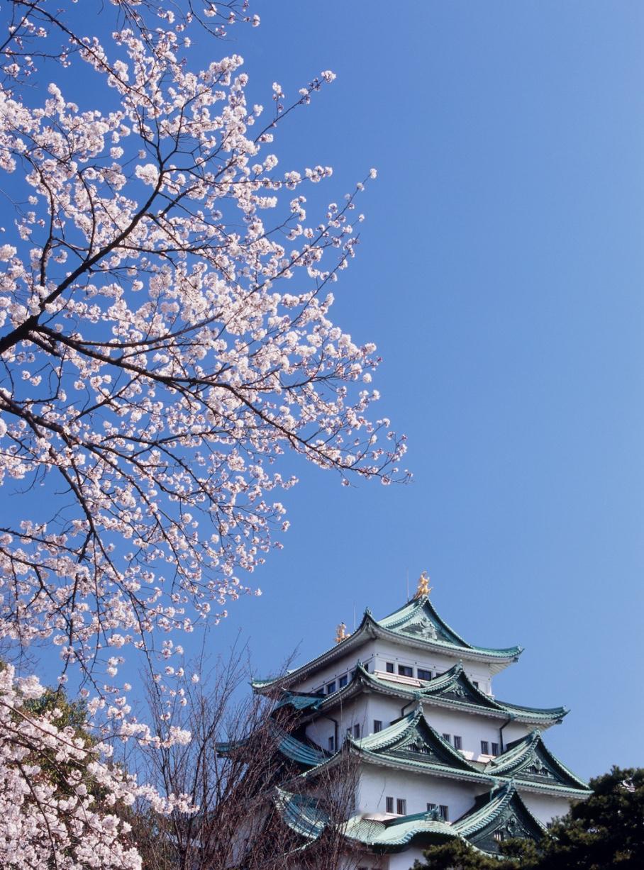 日本把地震调到7.5级，海啸也来了，结果才40厘米？网友：就这？

日本气象厅，