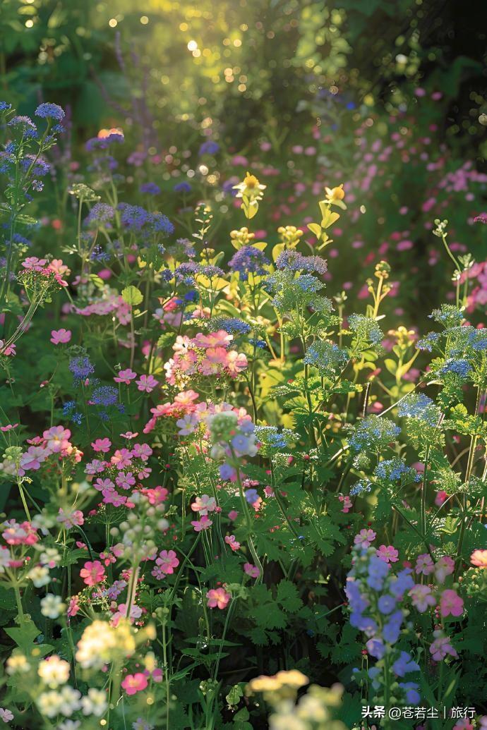 不是喧嚣，是蛰伏的苏醒，是根须在黑暗里悄悄延伸的力量。万物在沉默中蓄力，等待一场