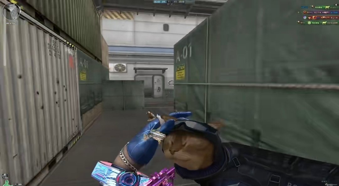 穿越火线的猫猫枪os:等着被我挠吧 