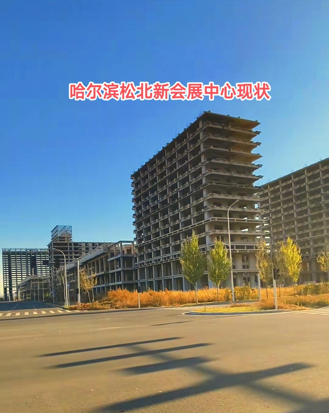 说句心里话哈尔滨江北新会展中心没有将蓝图照进现实确实有点遗憾，闲来无事逛街的时候