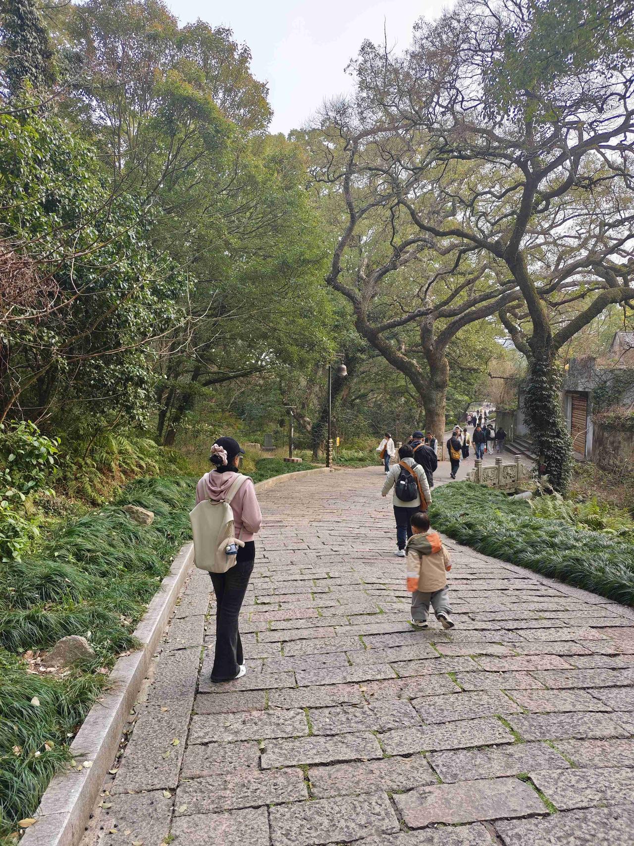 我的今日状态：😁轻松愉快
我这里的天气：☀️晴天

来到普陀山看到800多年的