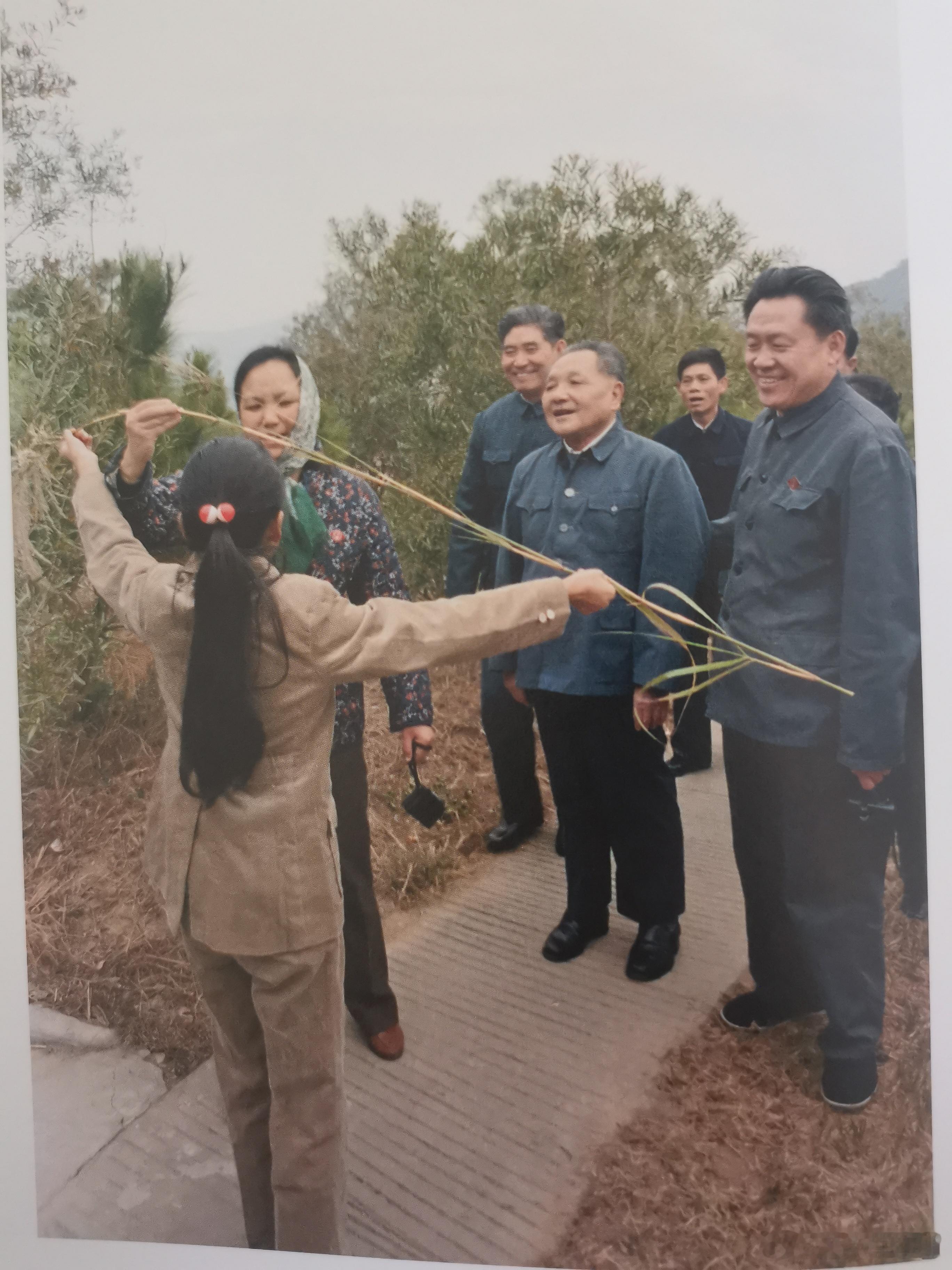 谁这么大胆，敢挡小平的路，他的回答亮了深圳 1984年，深圳宾馆后面的小山上，邓