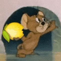 明天就要开始看自己家热闹了 