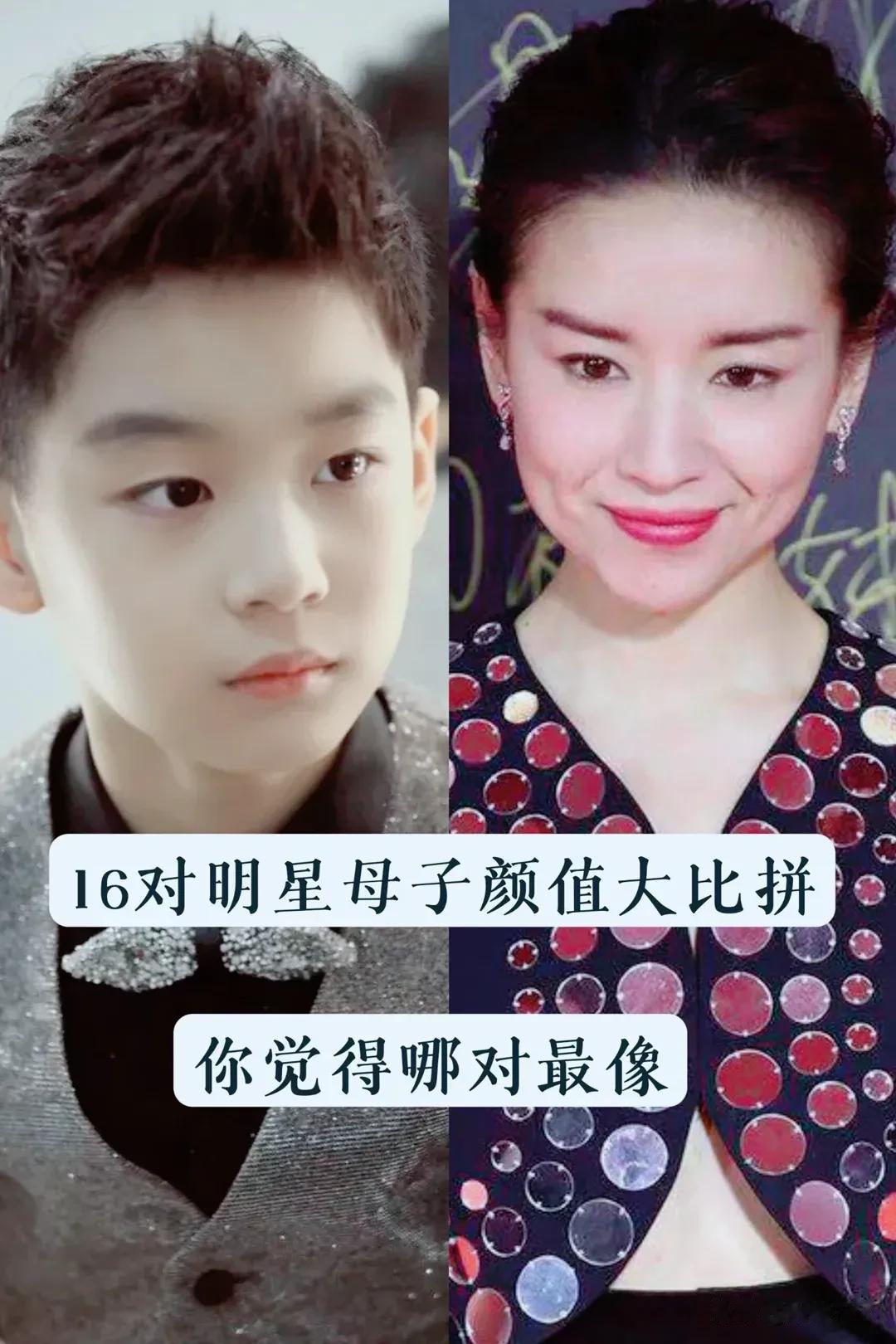 16对明星母子 颜值大比拼   哪对最像?