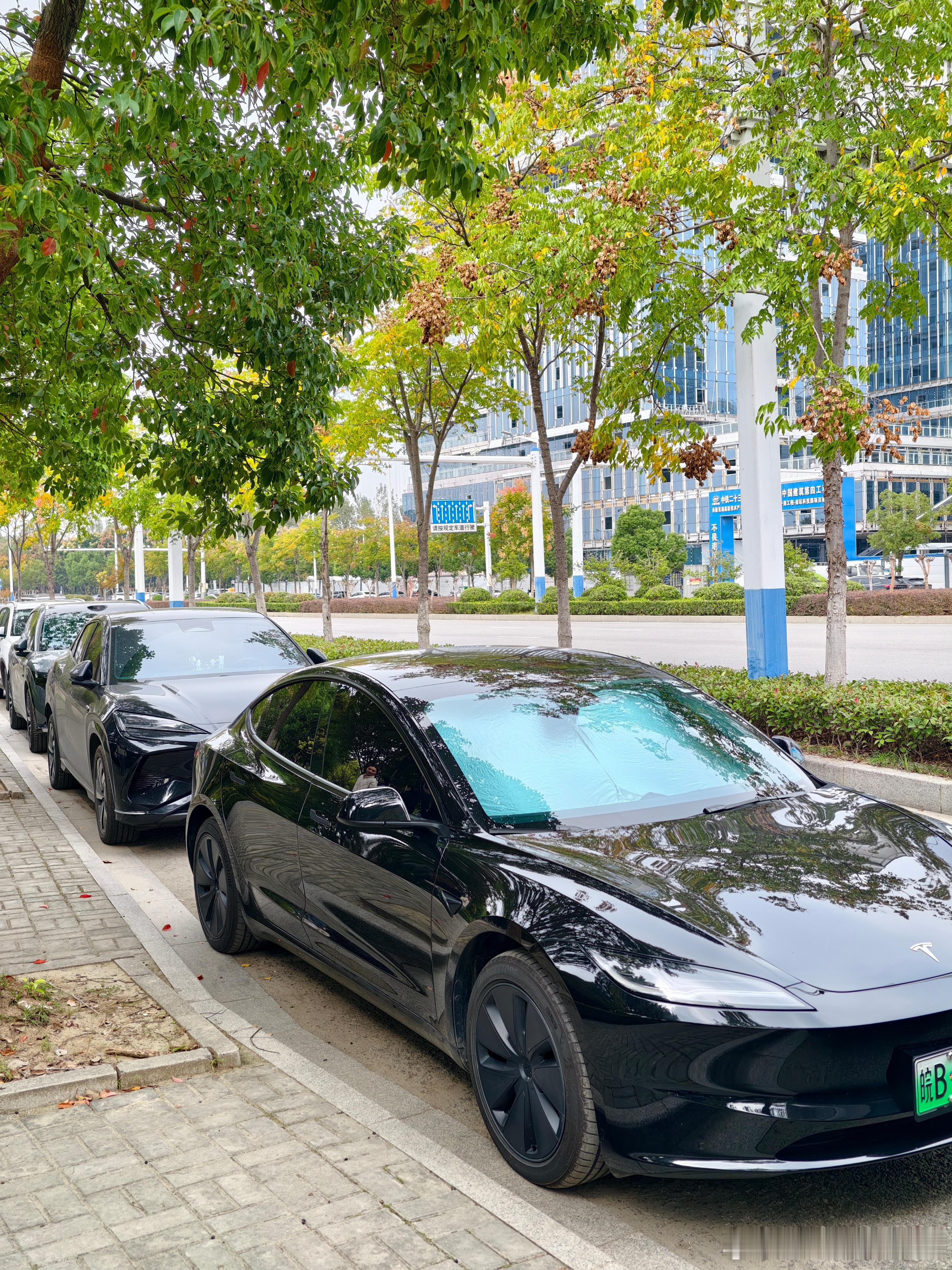 一时之间仿佛要长脑子了我与汽车的日常 ​​​