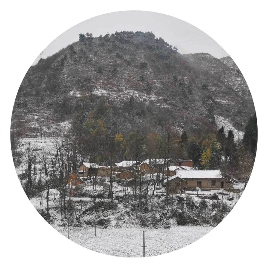 雪乡/圆构版