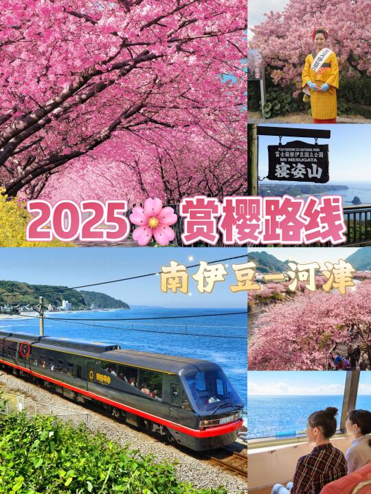 🇯🇵避开人群🌸春日樱花旅行指南♨️🚃