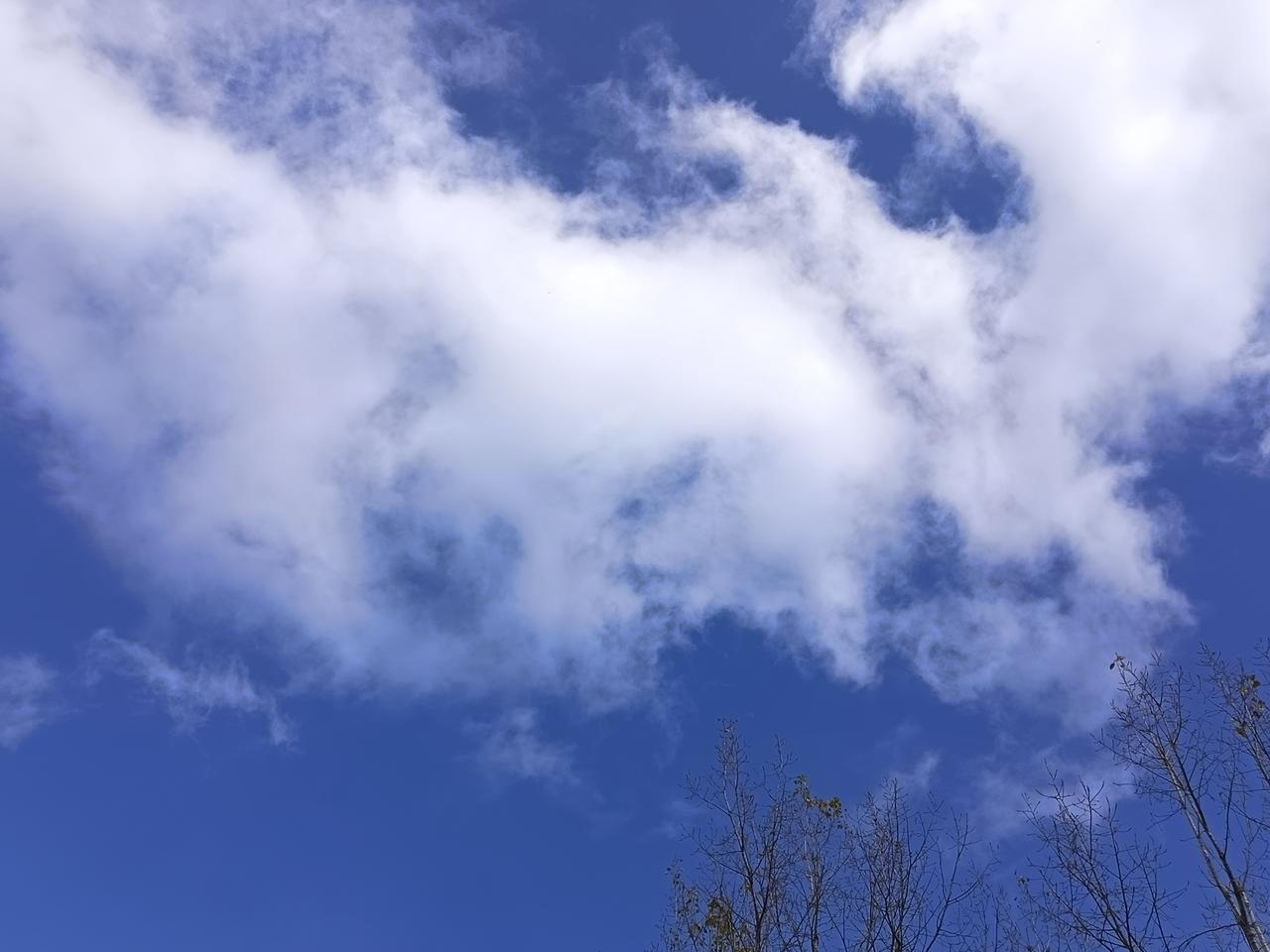 风该是个调皮的画家，把云絮勾出弯软的轮廓，漏下的天光在云顶镀了层亮边。角落那几枝