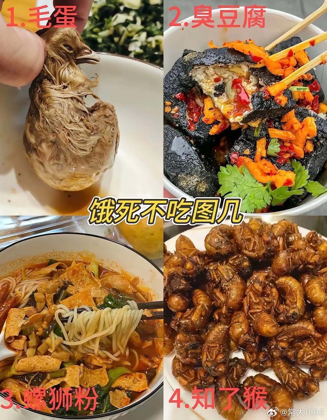 除了图一，别的都吃不下去，最吃不下去的是知了猴。 