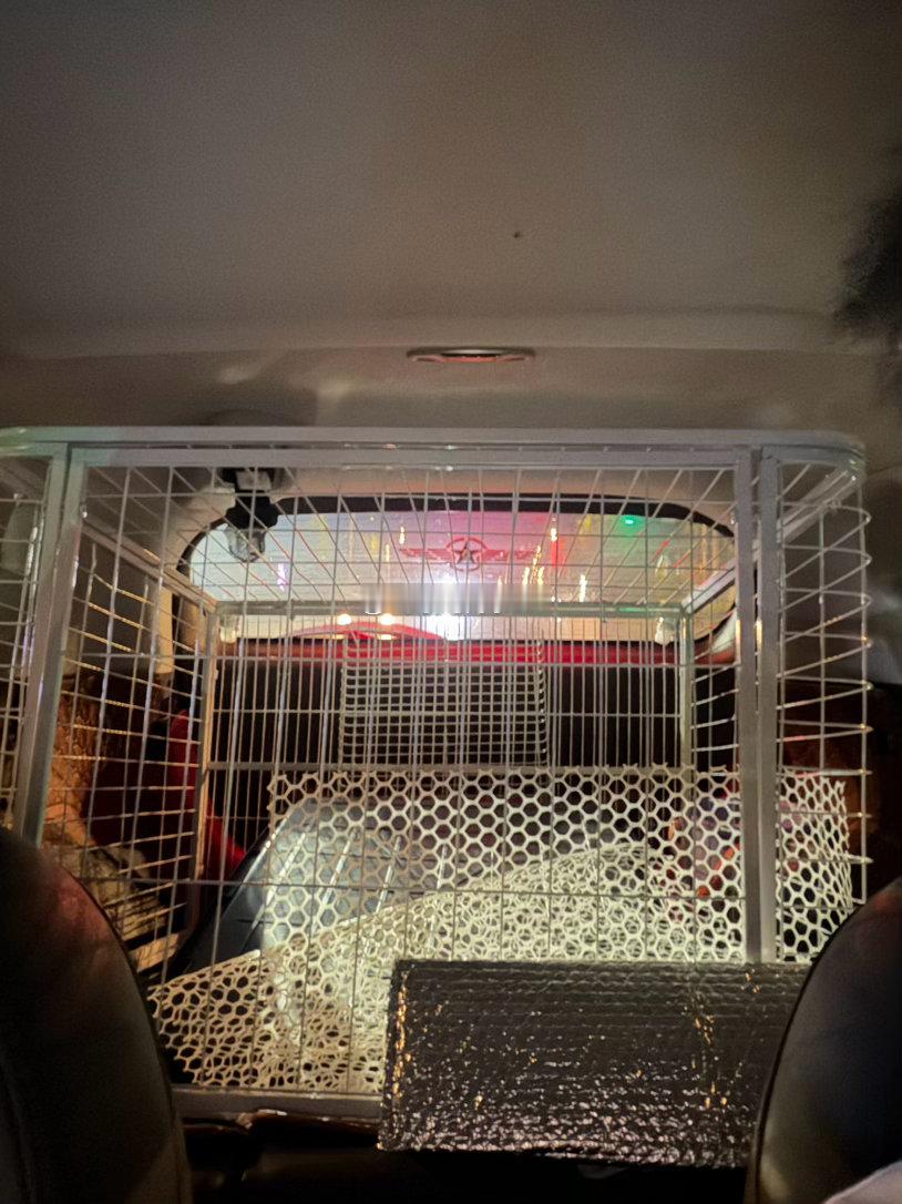 半夜出门给冰糖拉他的新家等他再长大点，准备给他买一个大猫柜柜