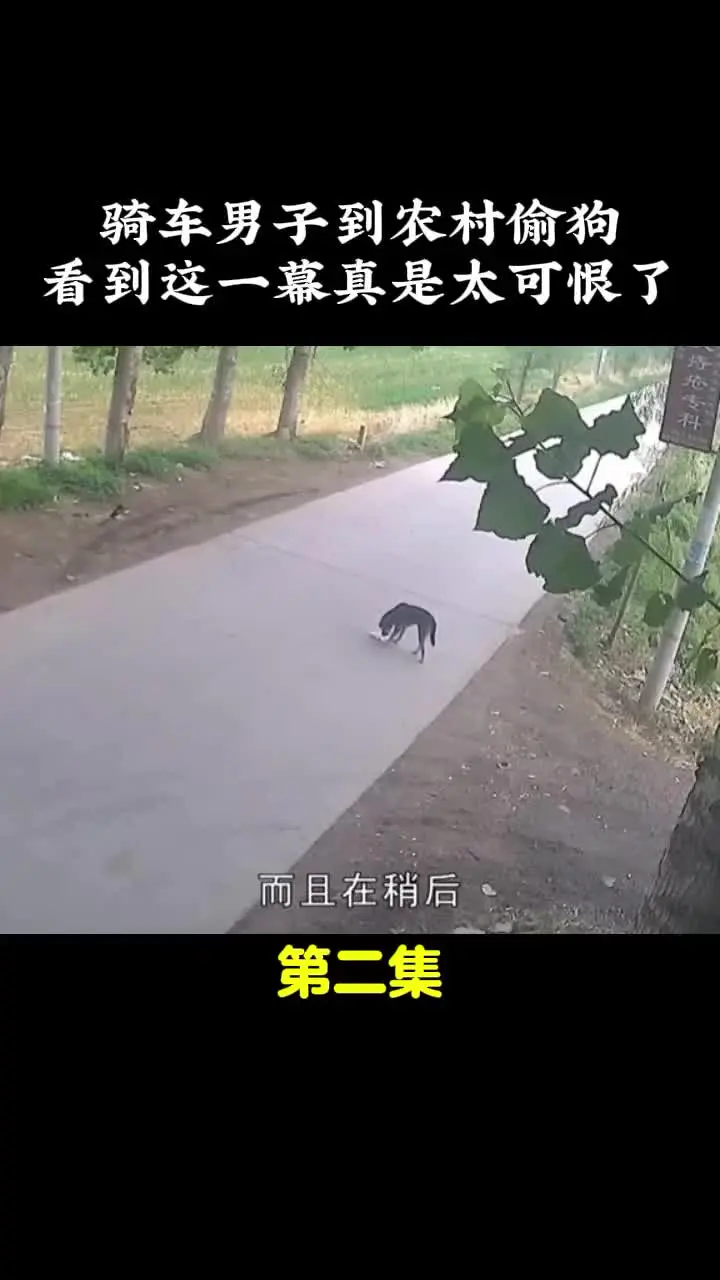 我的观影报告