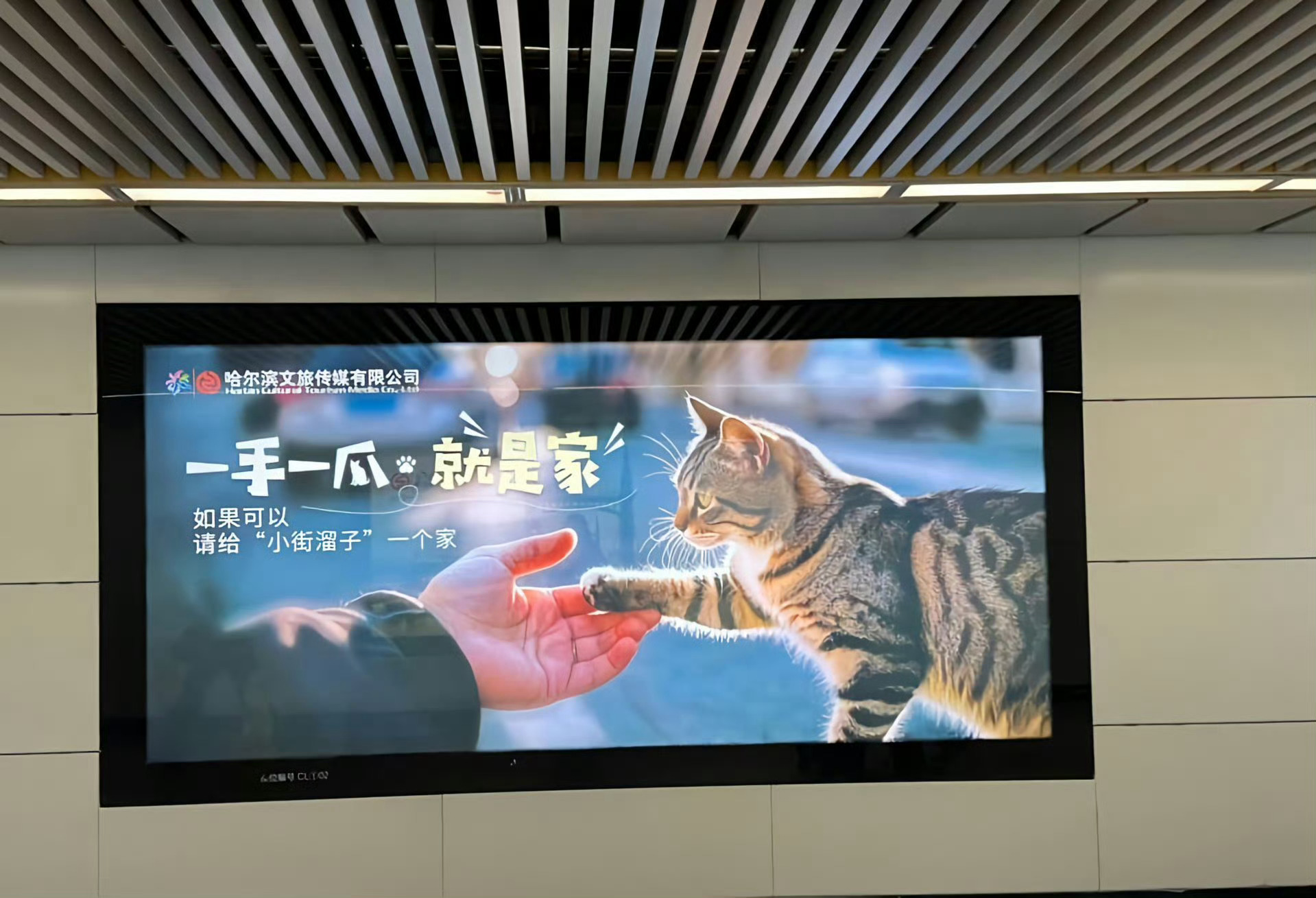 一手一爪，就是家