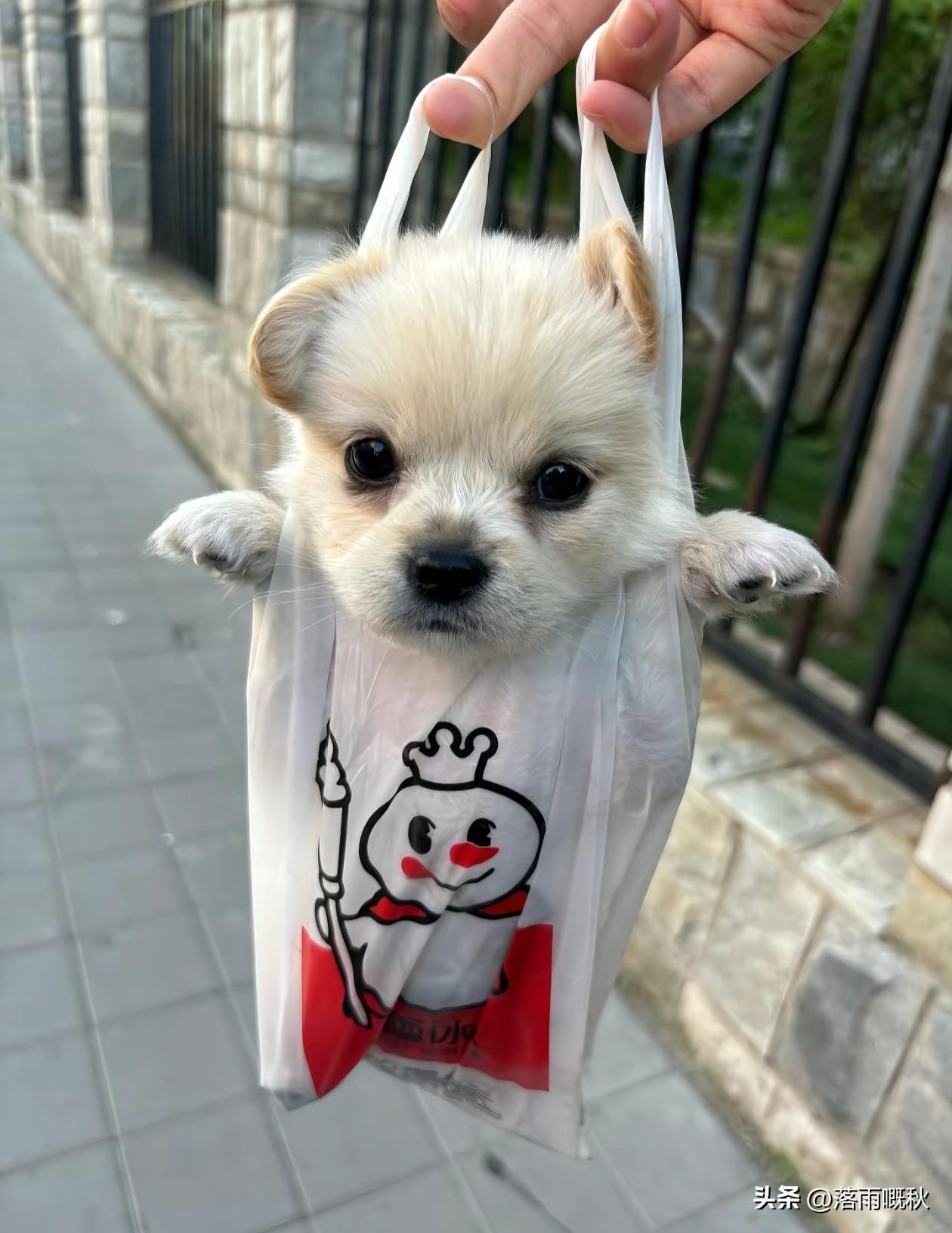 很哇塞一天，快乐一箩筐， 开心值拉满。