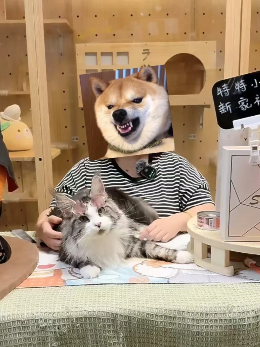 看吧 我情绪稳定吧