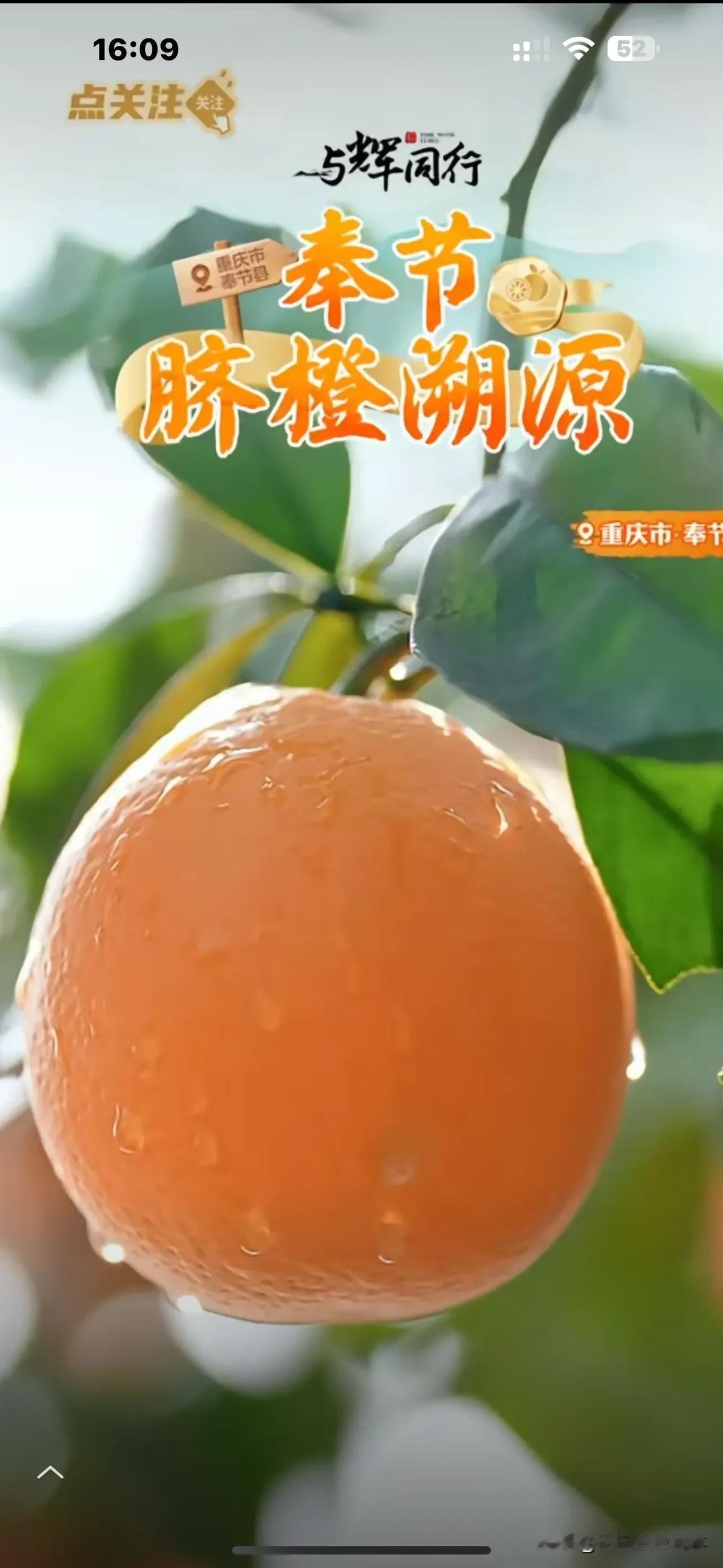 真厉害！两小时卖了57万单，销售收入2100万。与辉同行真助农，今天下午到重庆奉