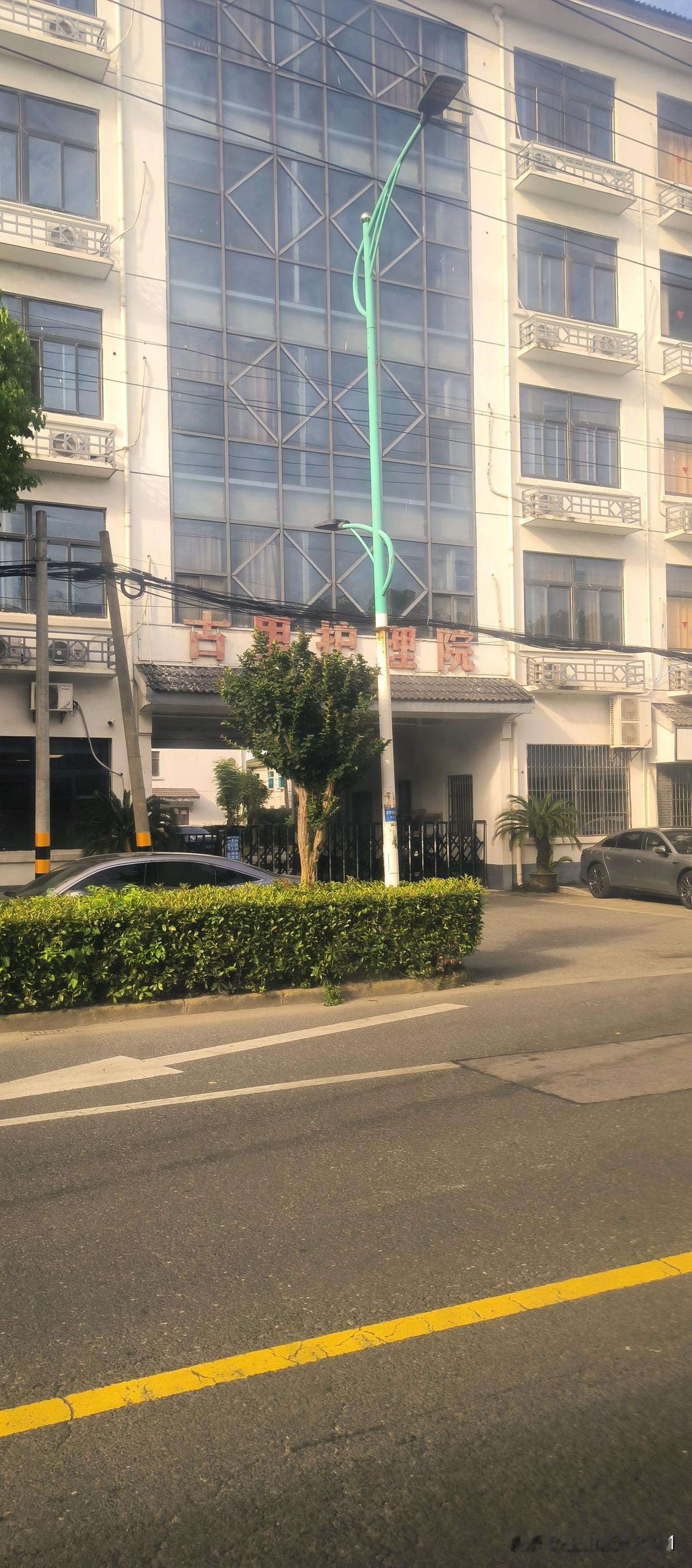 晒图笔记大赛街边花草带灌木。