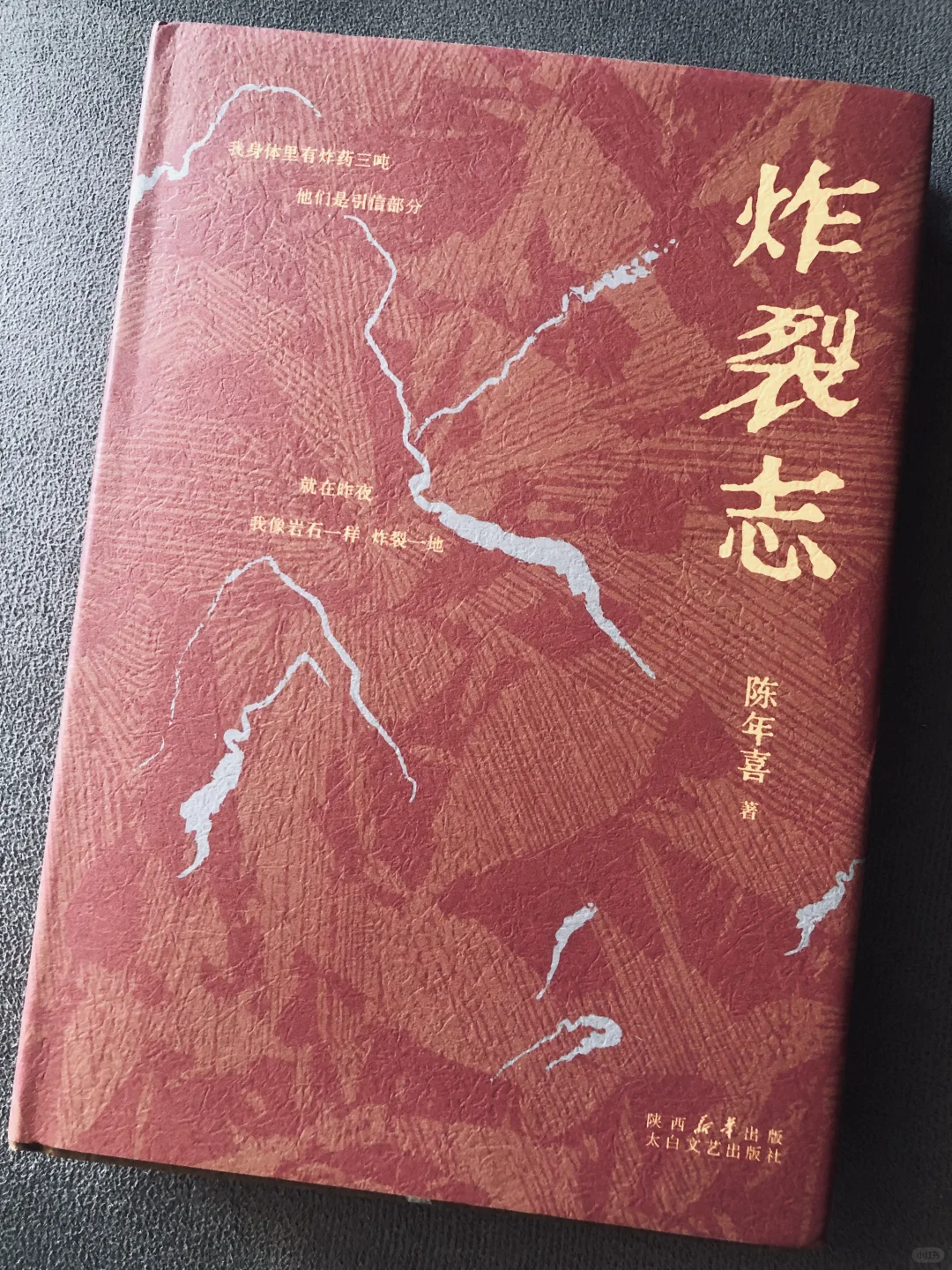 炸裂志｜一首炸裂志 撑起一部个人史诗