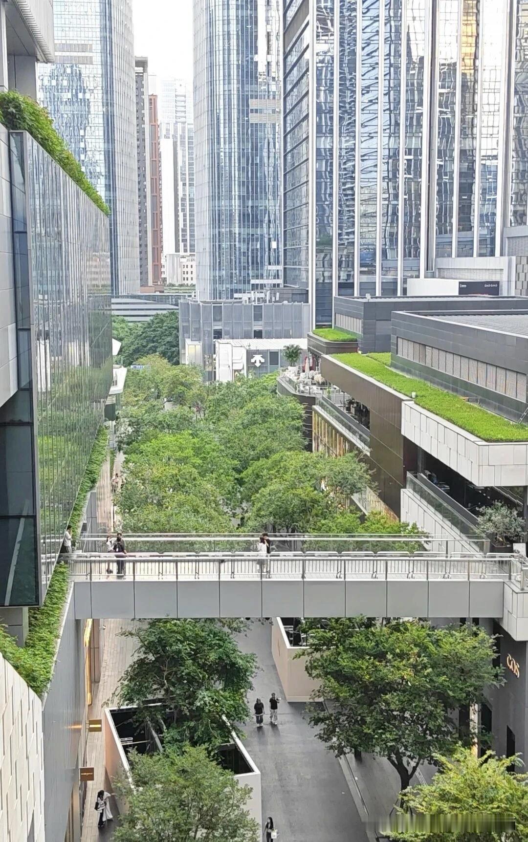 对于年轻人来说，选对生活中的伴侣，这才是一生当中真正回报率最高的投资，也是同龄人