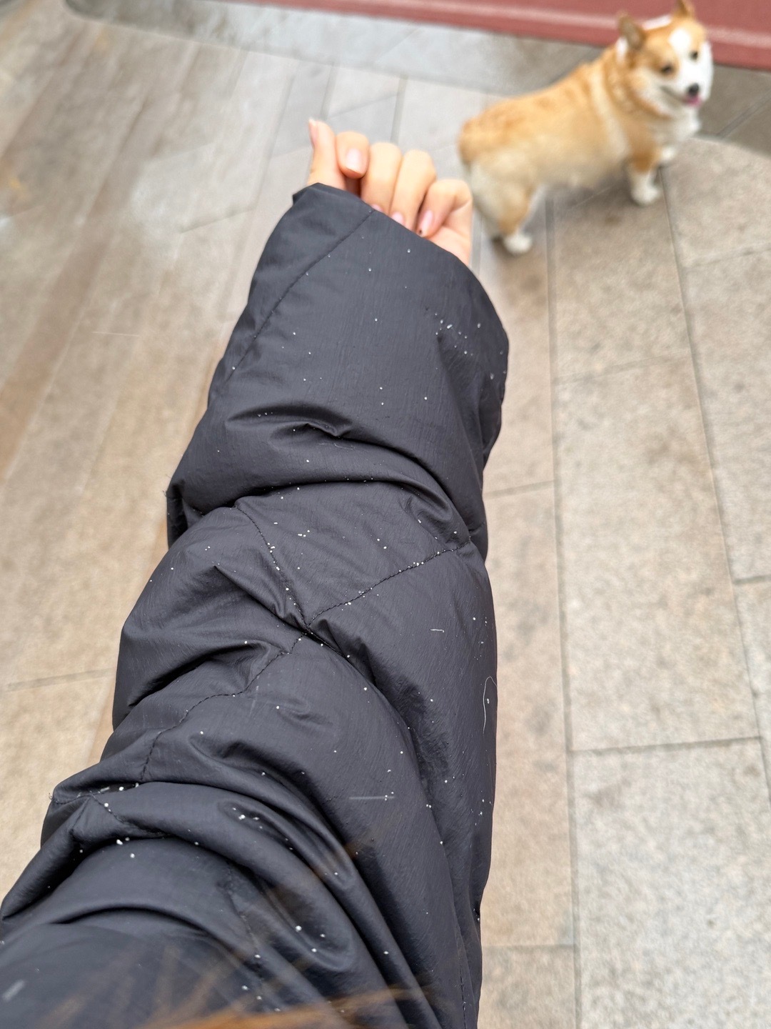 北京鹅毛大雪 青岛盐粒儿小雪，一个豪放派？一个精致挂？