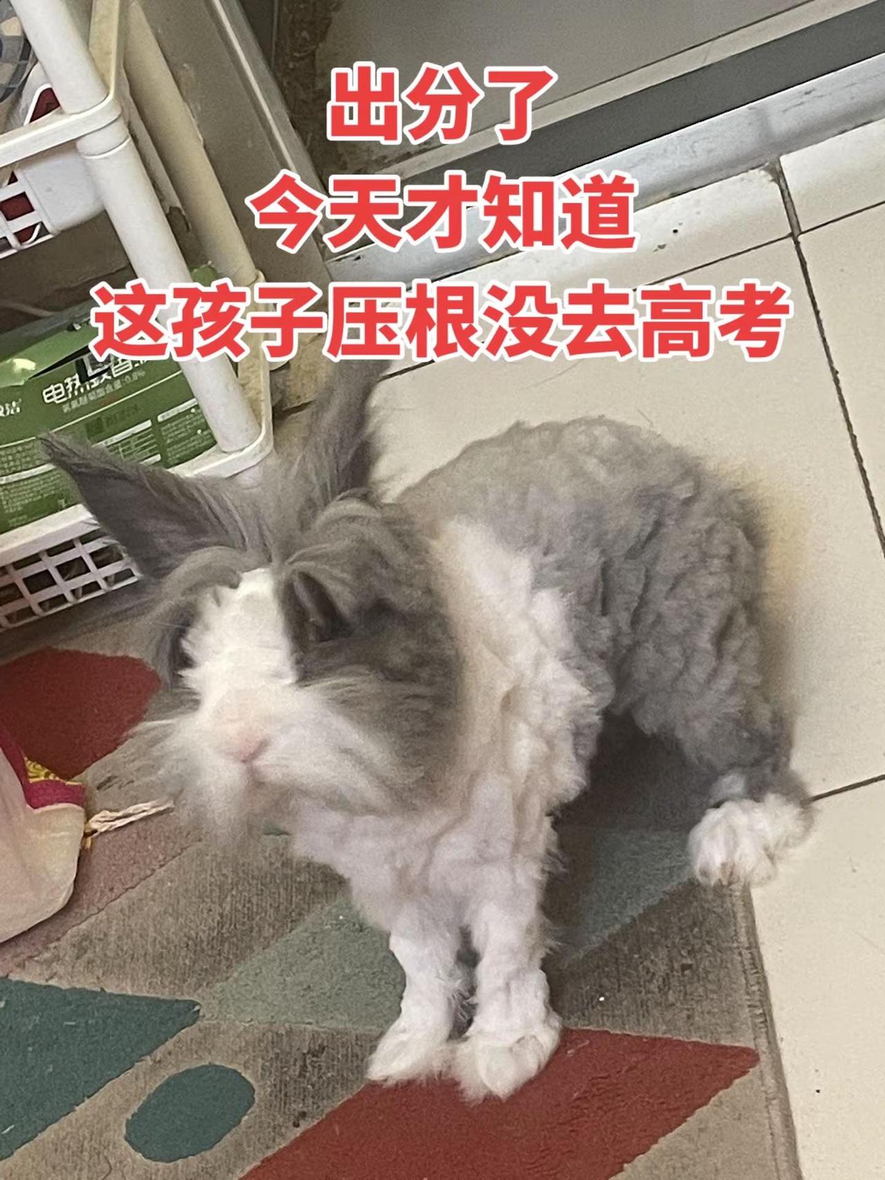 参加高考。
