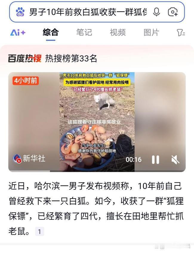 黑龙江五常市一男子10年前救下的白狐如今已成为“狐保镖”，守护着庄稼，这一故事感