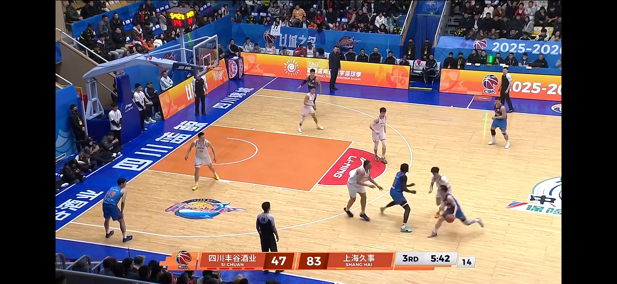 小偰+TR+Ben+金金+小胖，终于看到这个阵容了上海久事大鲨鱼