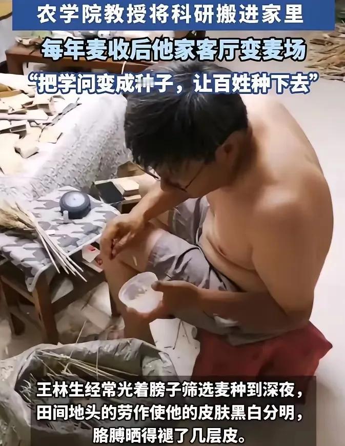 光膀子、赤膊晒得脱了几层皮，选种选到深夜，有这样的农学教授，袁隆平放心了

在河