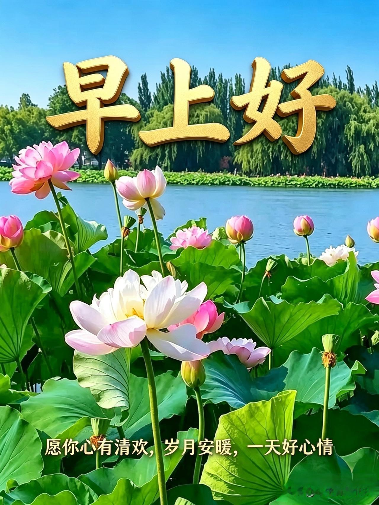 崭新清晨，满怀希望。愿屏幕前的每一位朋友，眼里有光，心中存爱，生活处处有惊喜，岁