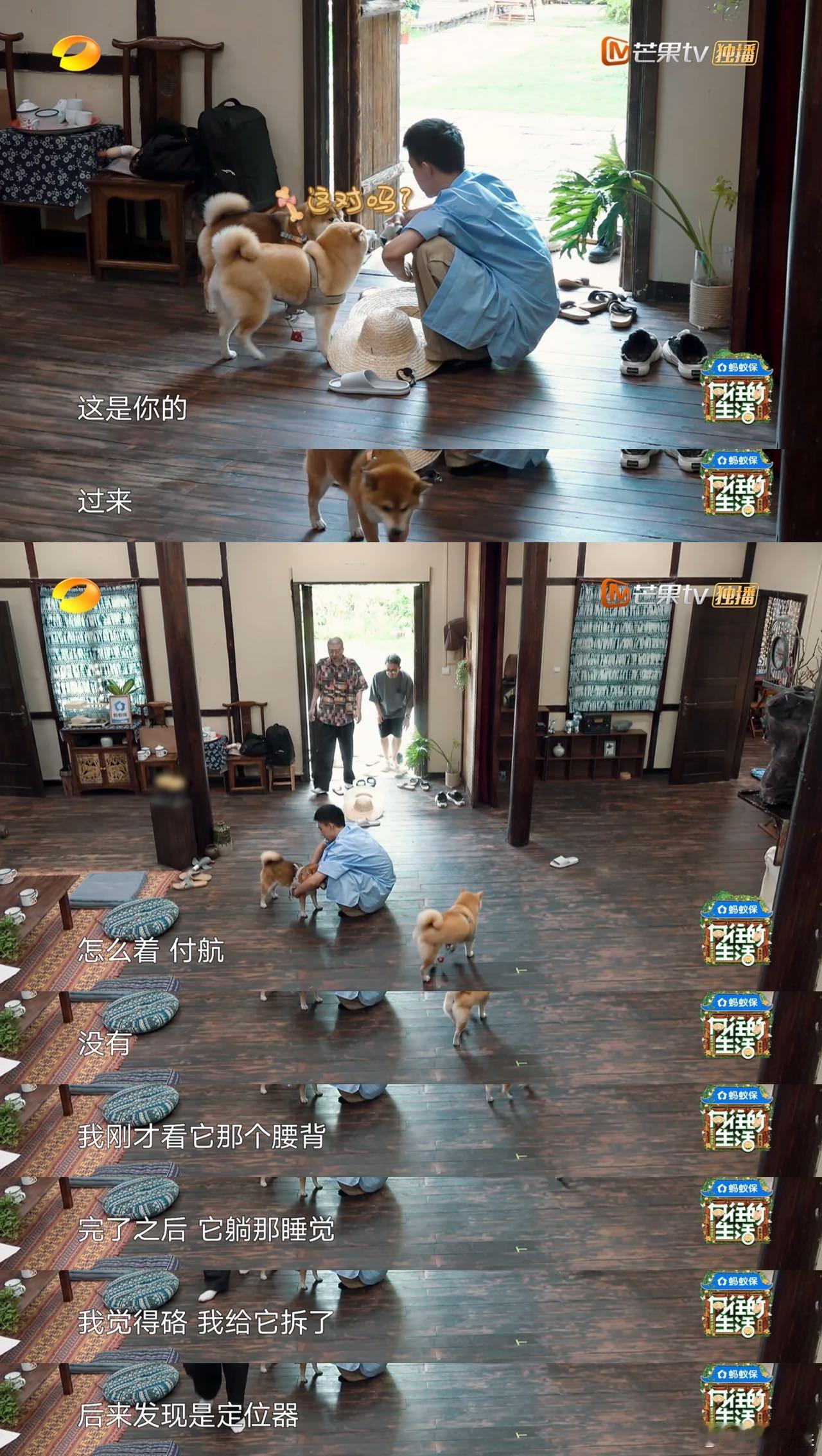 付航 内向人格 看着他小心翼翼地融入集体，慢慢和大家熟悉起来，真的很有共鸣。内向