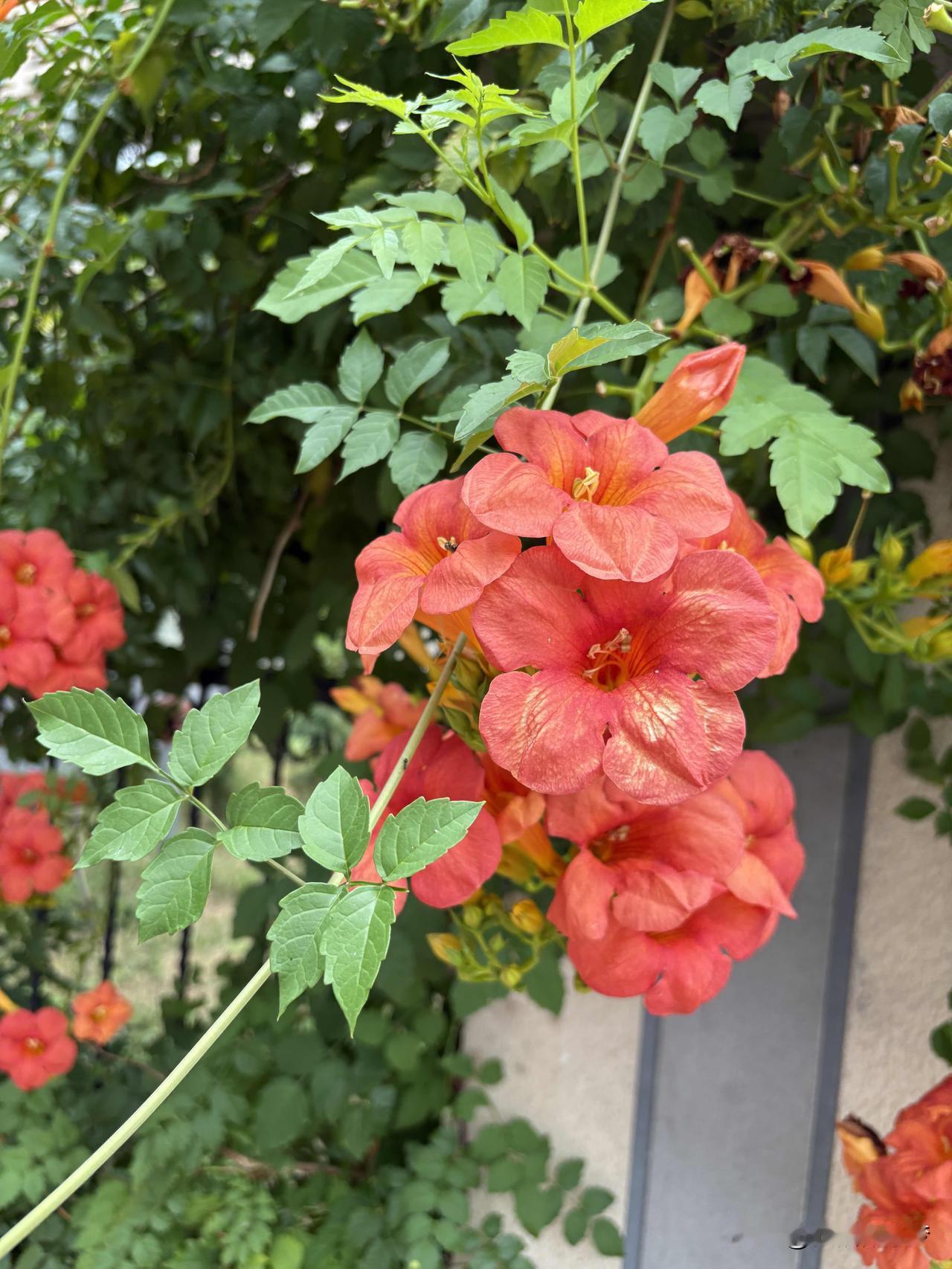 夏日生活打卡季以心为纸，以经历为墨，每一天都在创作独一无二的人生手账。