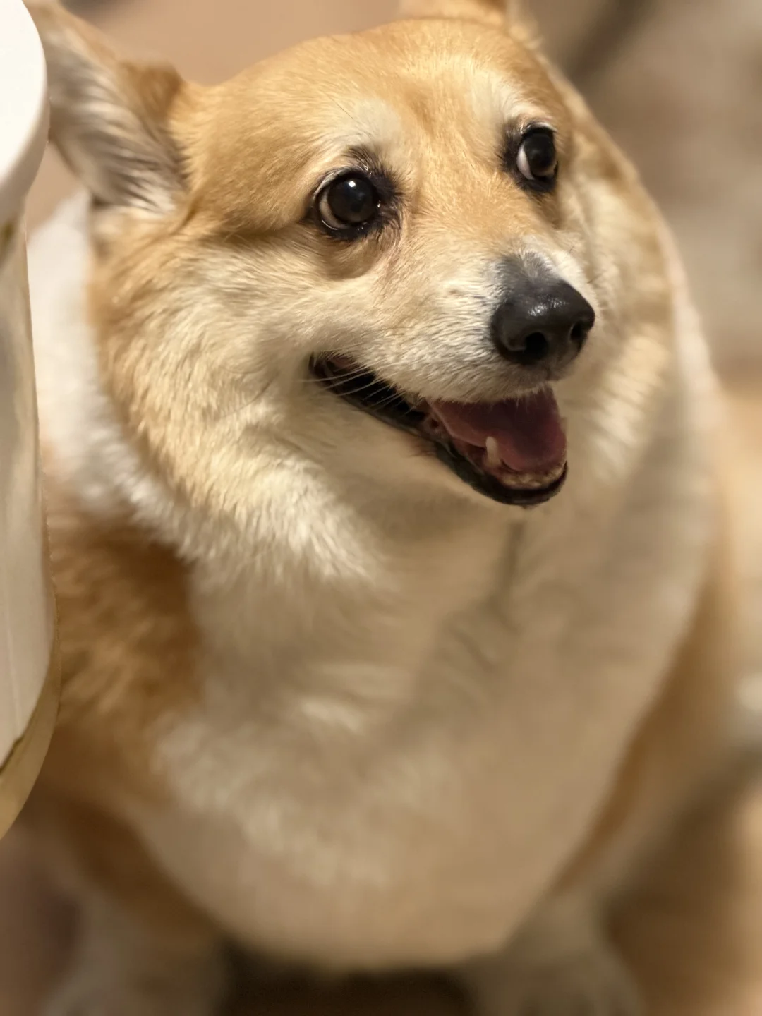 谁家好人这样拍照啊？