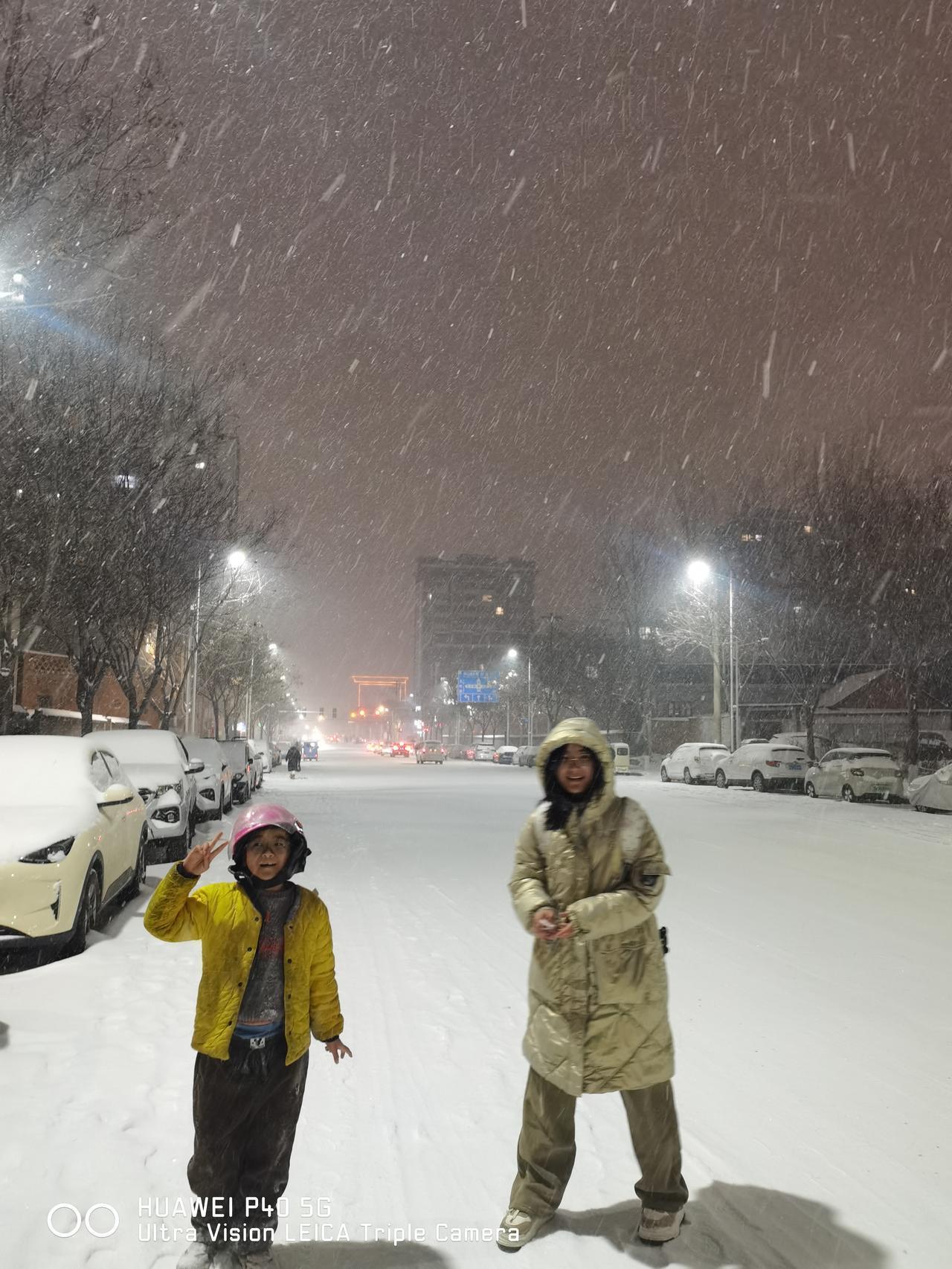 雪终于下来了，下的还很大，温度极低，化了的雪在头发上一会儿就变成了冰碴子。路的中