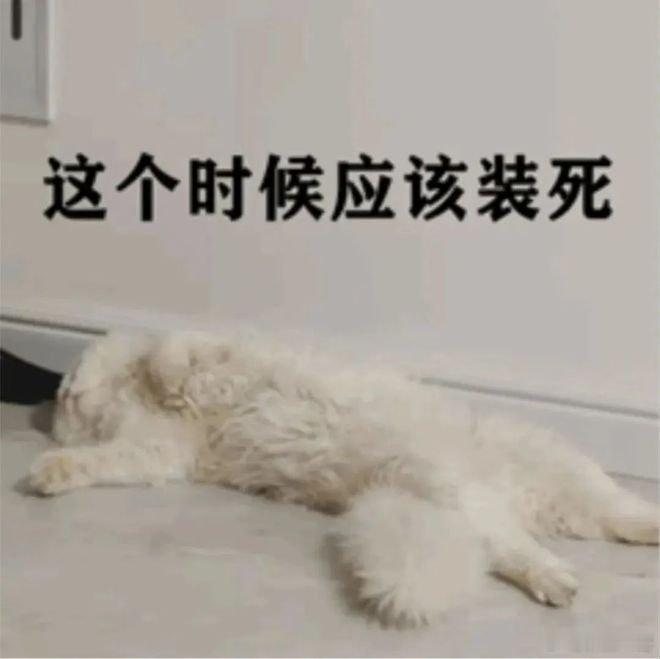 先接境外资金透明的“硬轨”美国以门户网站焊死高校境外资金监管，宾夕法尼亚大学因披