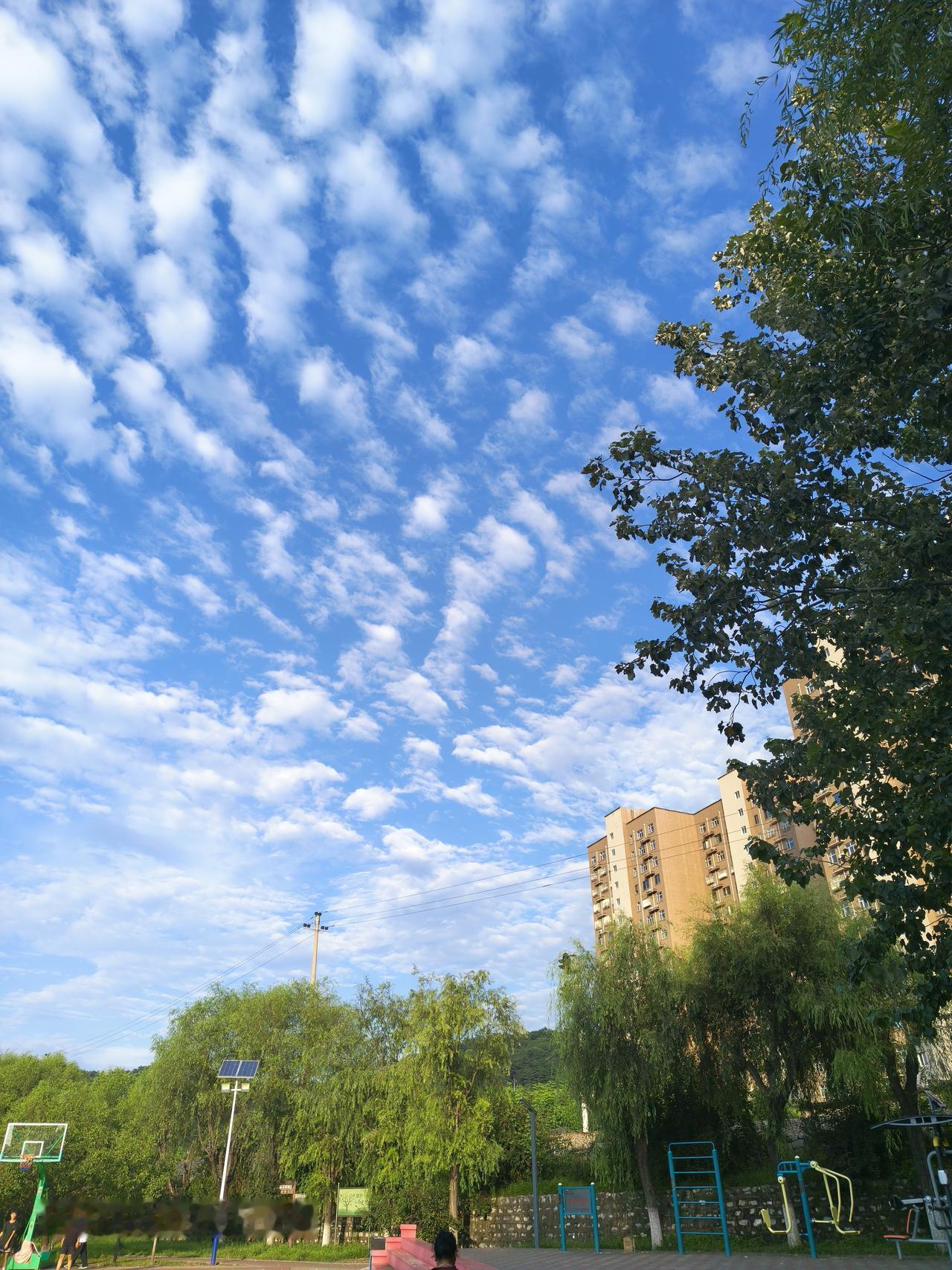 蓝蓝天空中，朵朵白云宛如秋天丰收后散落人间的棉花，这般景象总引人遐想。
在海边沙