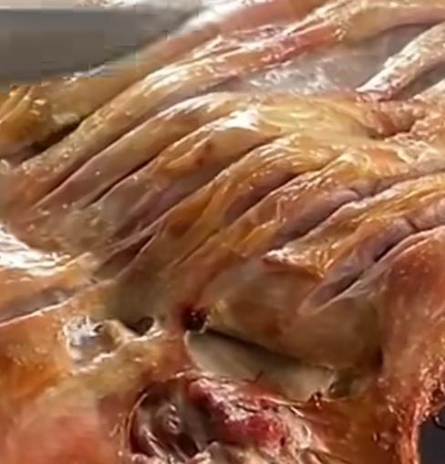 吃烤全羊发现大量粪便店家赔偿1500哈哈，所以该烧烤店是做的九转大肠么？但不对啊