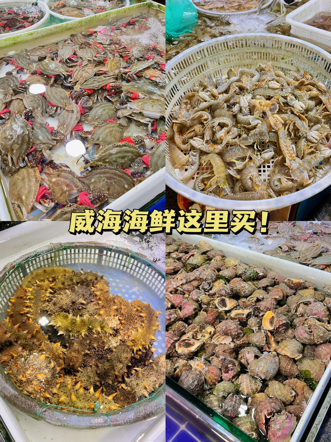 威海旅行最后一站！逛海鲜市场不踩雷攻略！