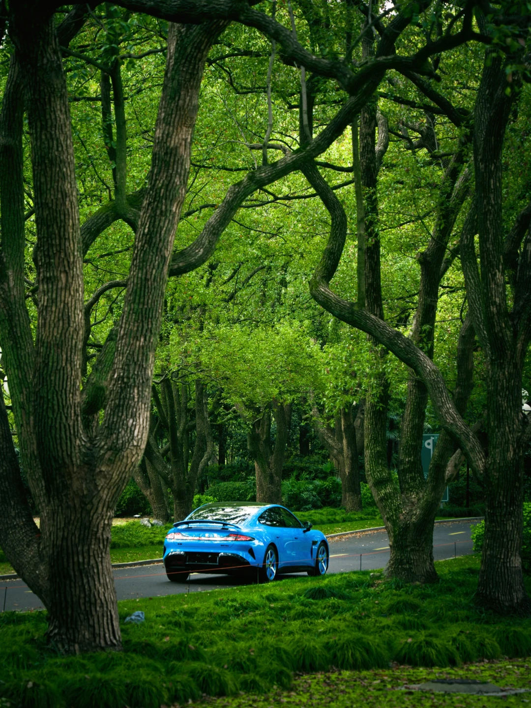 交换春天🌳和新SU7闯入上海版言叶之庭