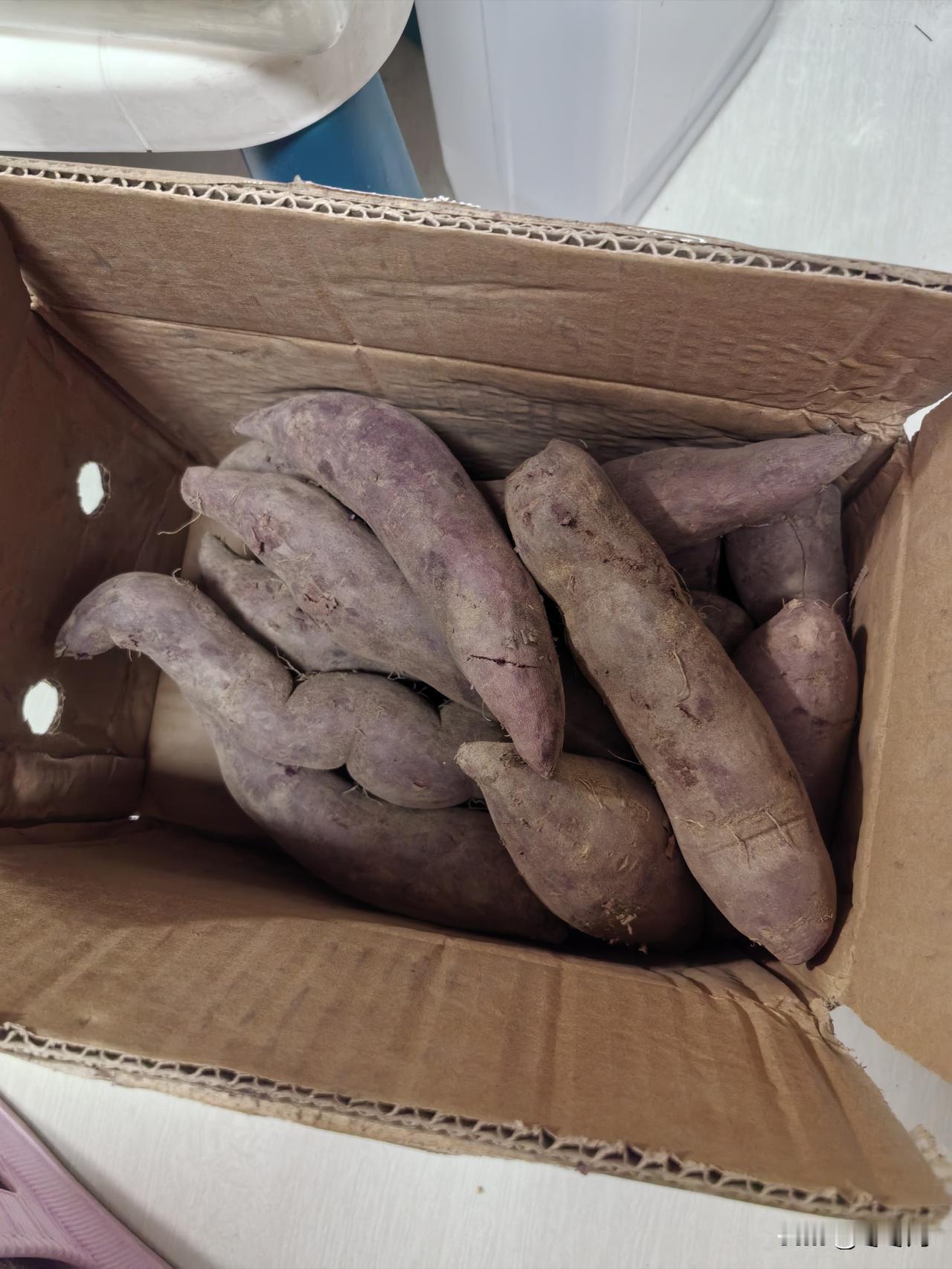 今日拼多多紫薯
     前些日子，我对红薯和南瓜颇为着迷。把它们和米饭一起放进