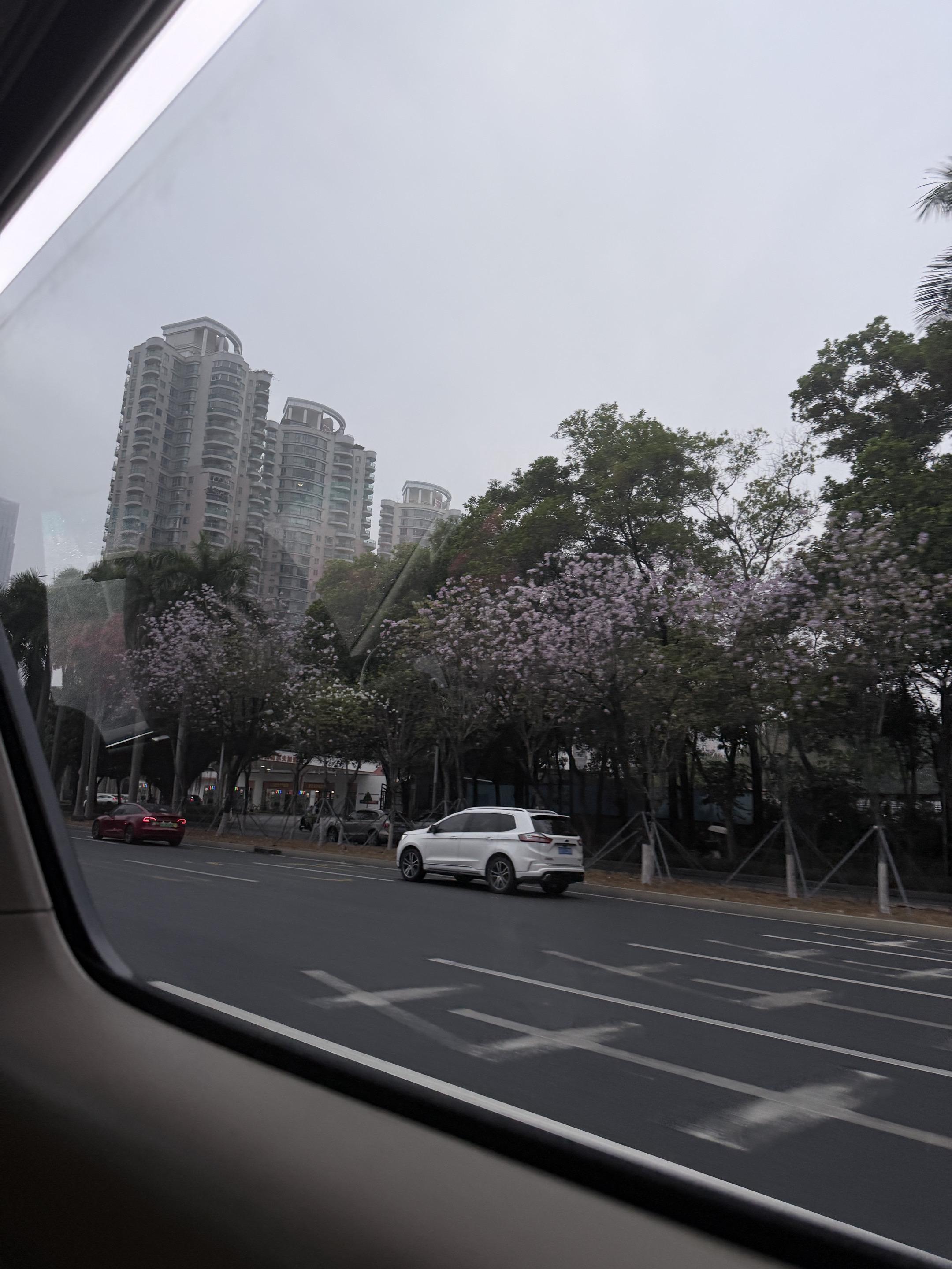 看到最后 随意拍plog