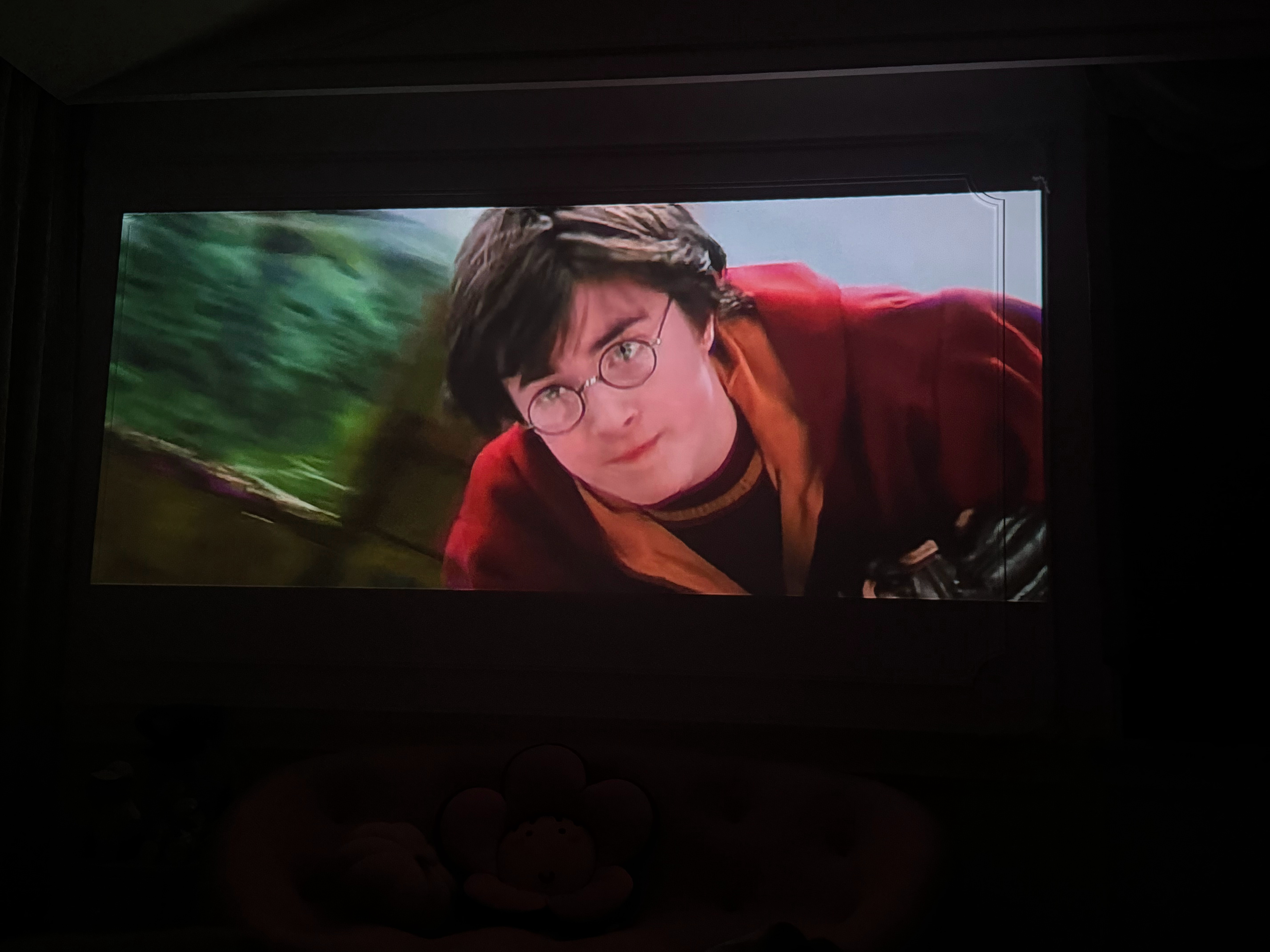 妹妹生病了，去医院看了一下流感，有点发烧。今晚哪也不去了，就陪妹妹在家躺着看电影