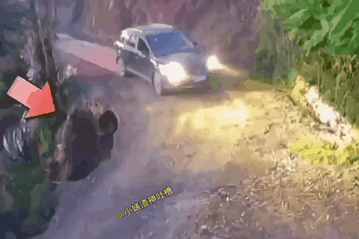 他是没看到那个坑么