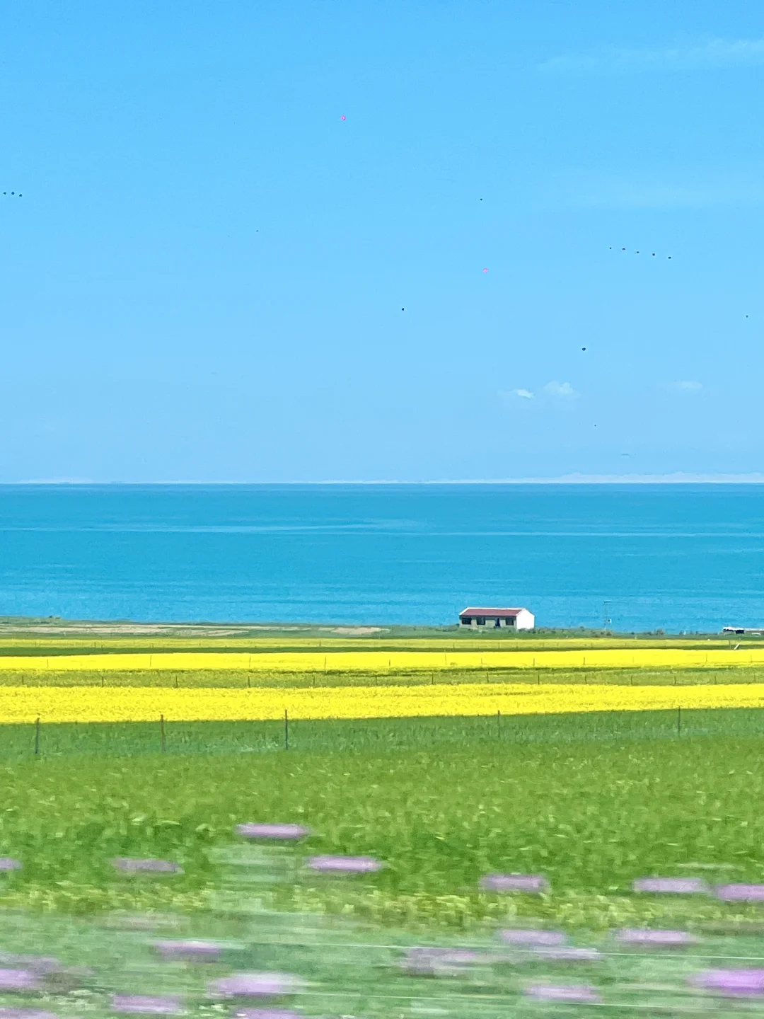 7.24实况‼️今天的青海湖简直夯爆了🌼
