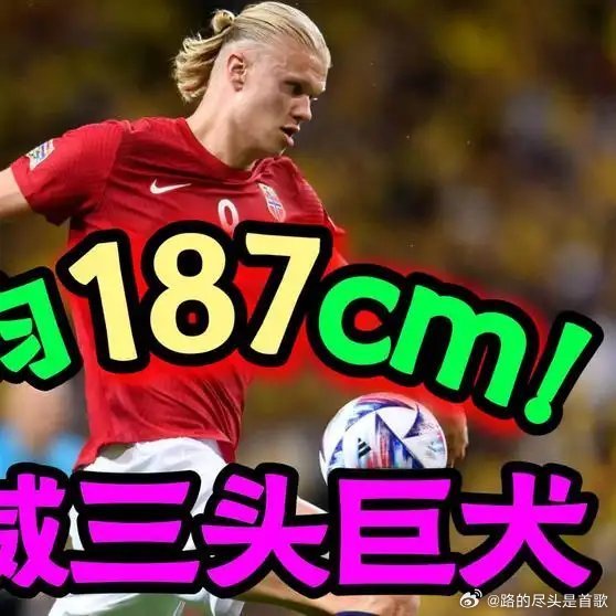 《三头巨犬上线！平均身高187cm！总身价5亿！哈兰德一人占2亿！最矮,174c