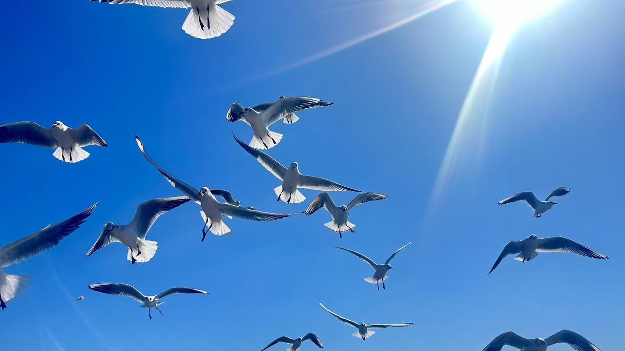 我一直认为生活中最有底气的事情就是要有足够的钱。

所以我一直都在努力的赚钱。