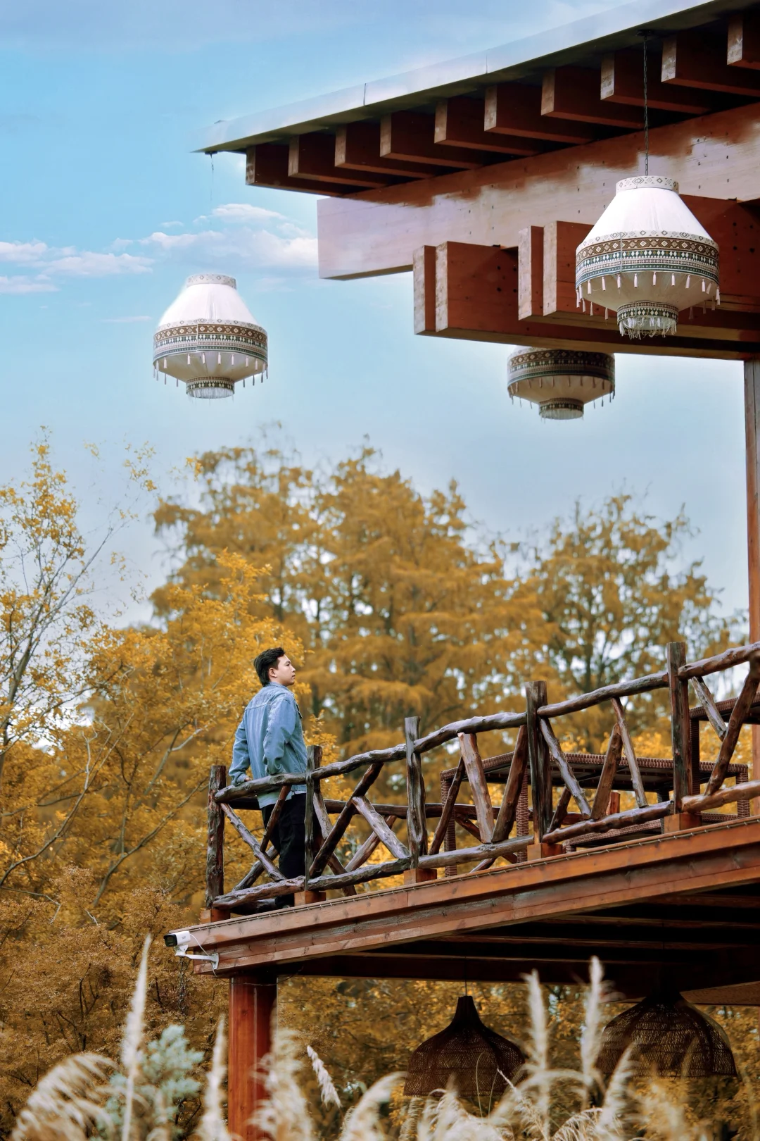 可惜你不来武汉，不知道东湖秋天有多美！