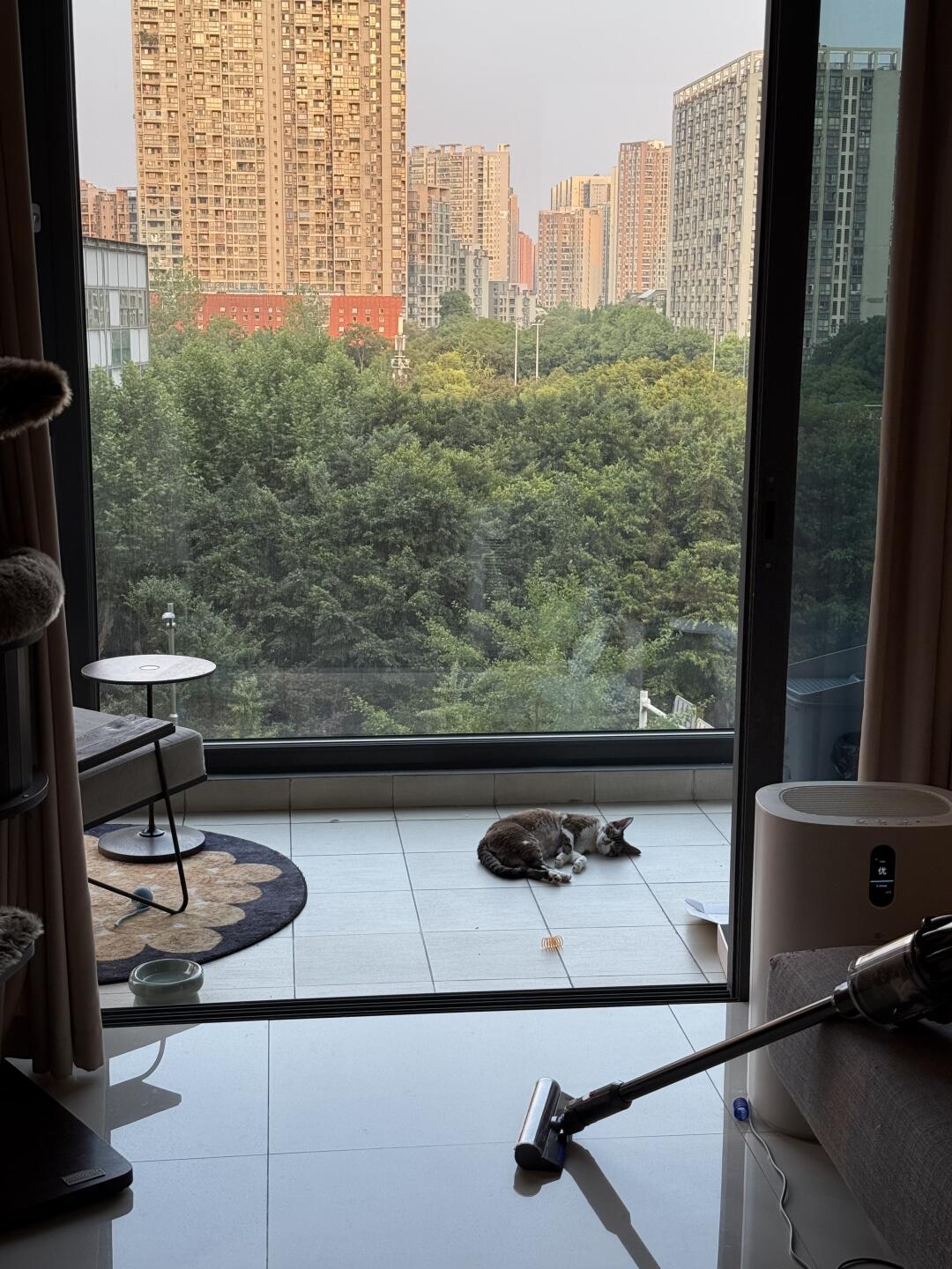 我的青天大老爷 一定要这样吓我吗