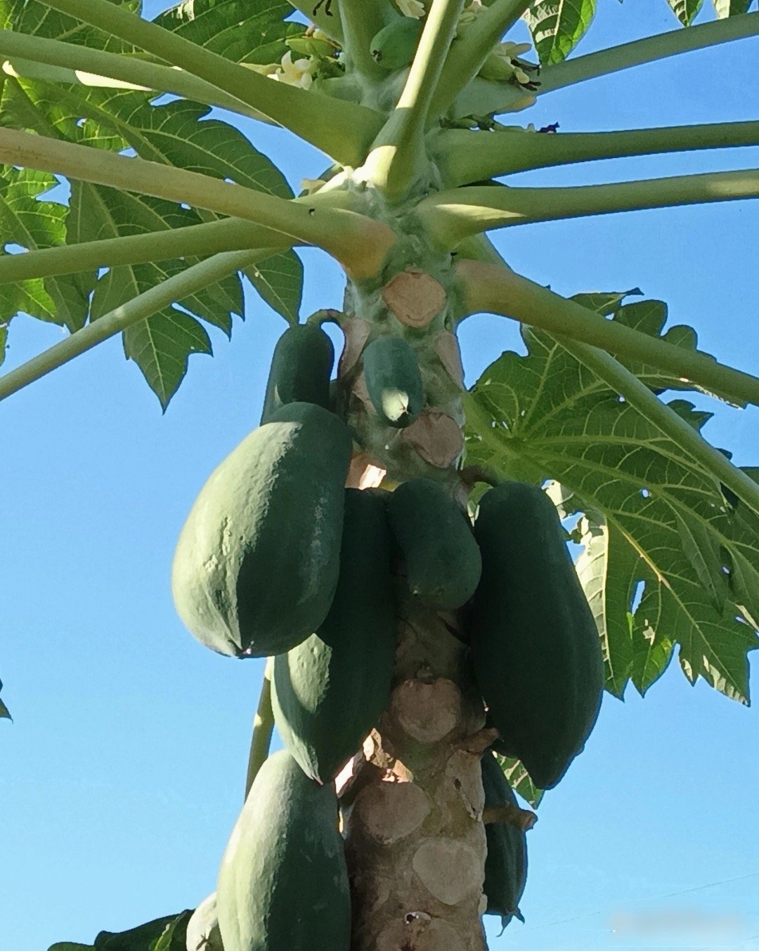 纳指我准备4+3做做滚动踢，找个波大点的，刺激点的，哈哈 ​​​